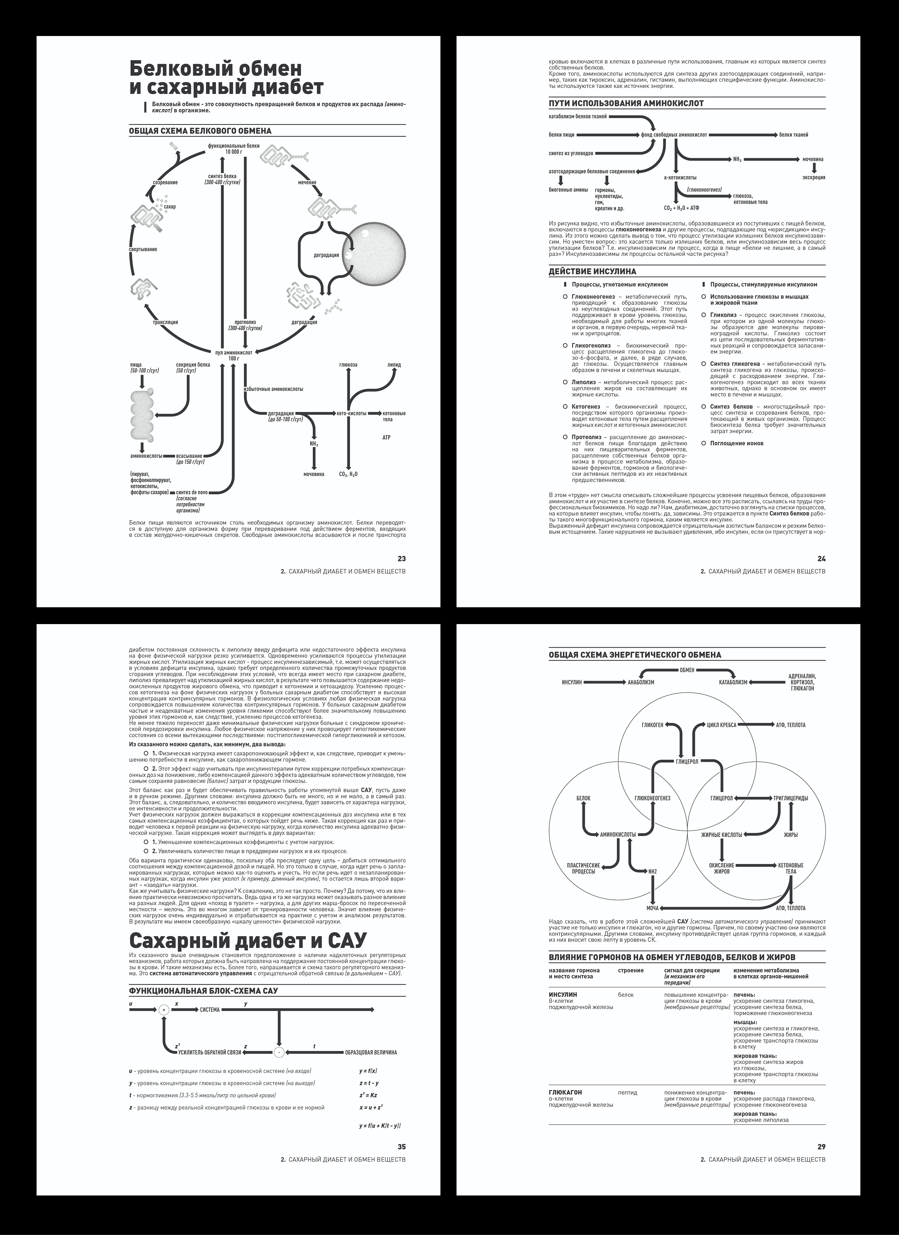ре-дизайн книги о контроле диабета — Изображение №9 — Графика на Dprofile