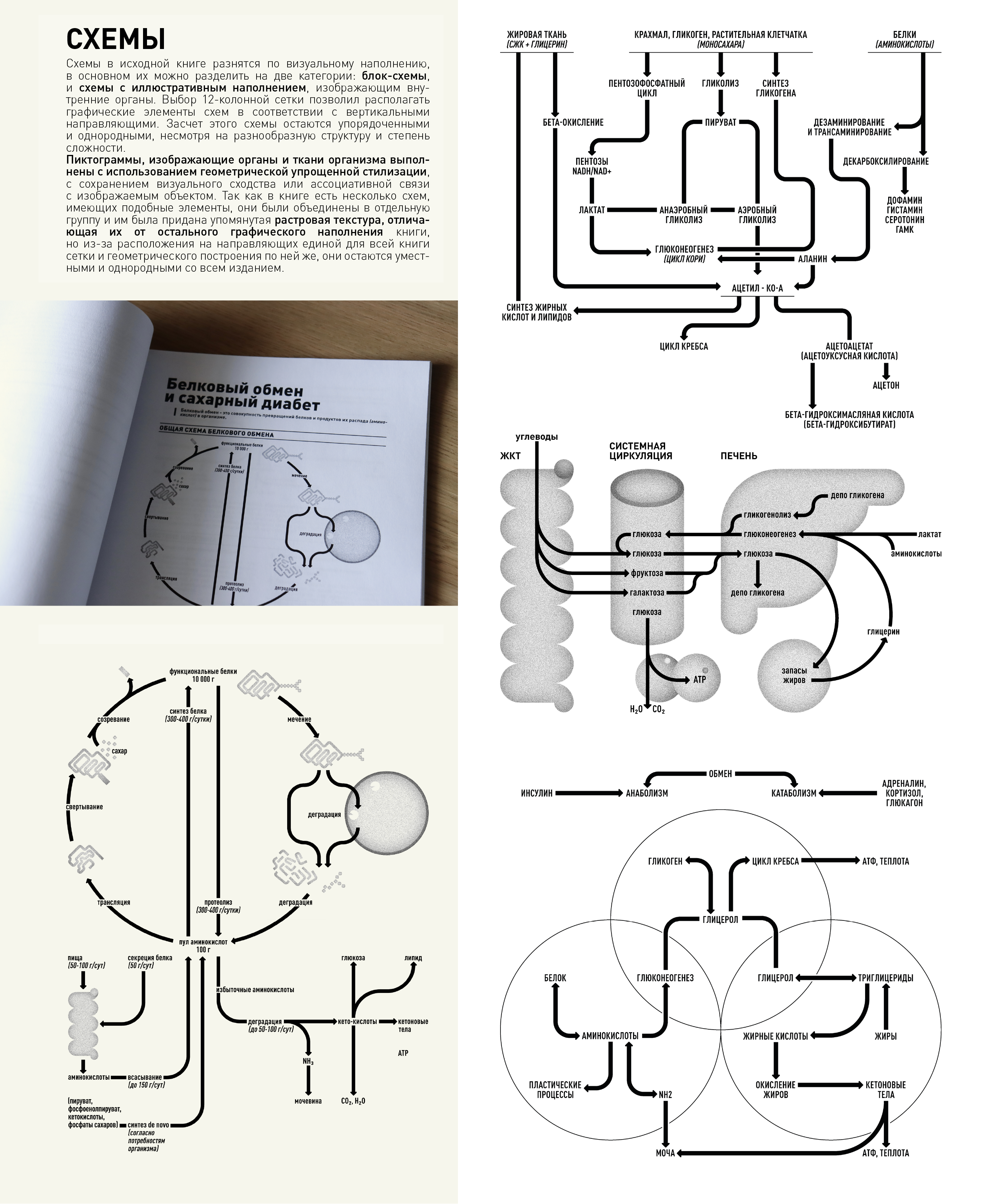 ре-дизайн книги о контроле диабета — Изображение №4 — Графика на Dprofile