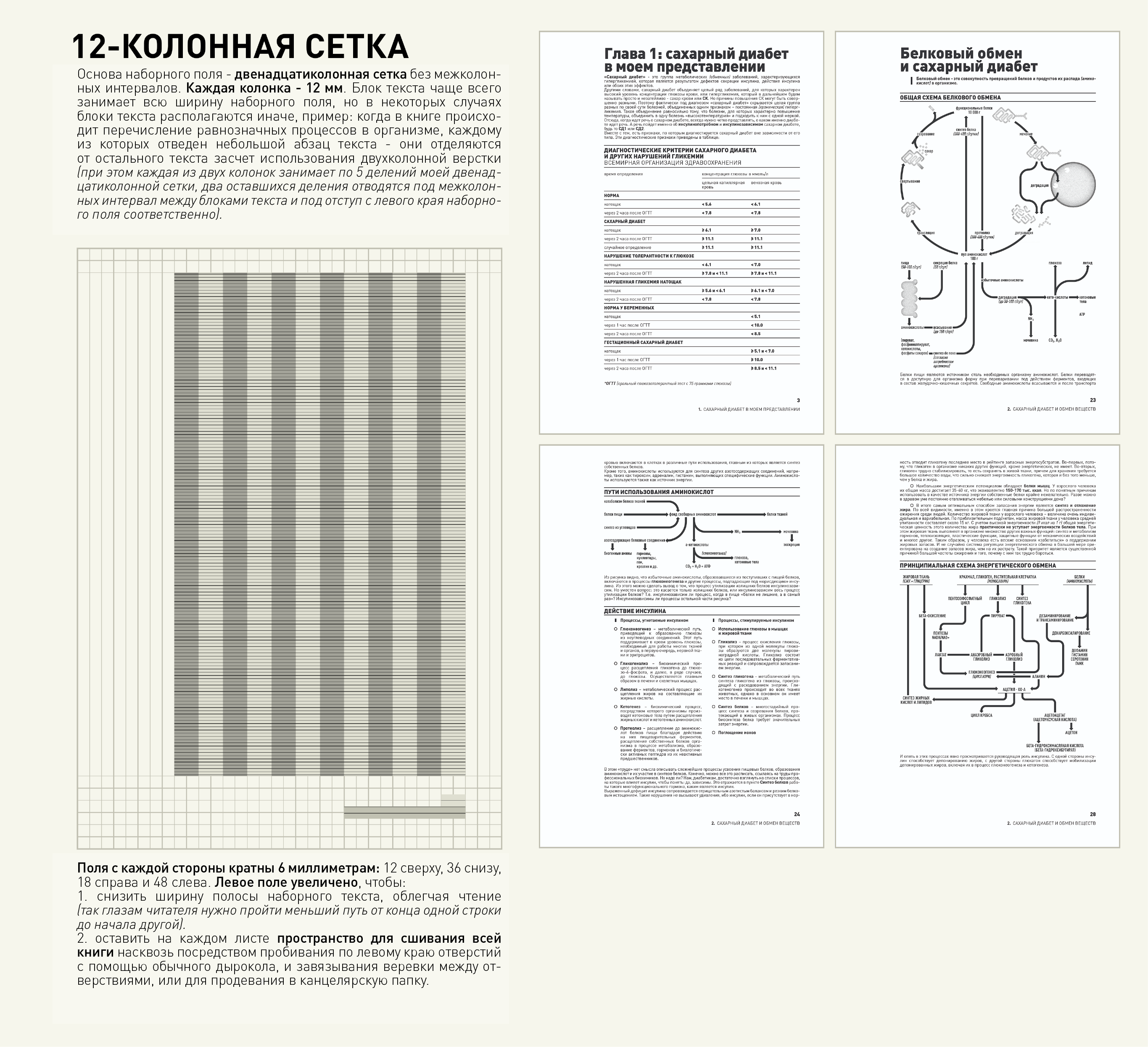 ре-дизайн книги о контроле диабета — Изображение №2 — Графика на Dprofile