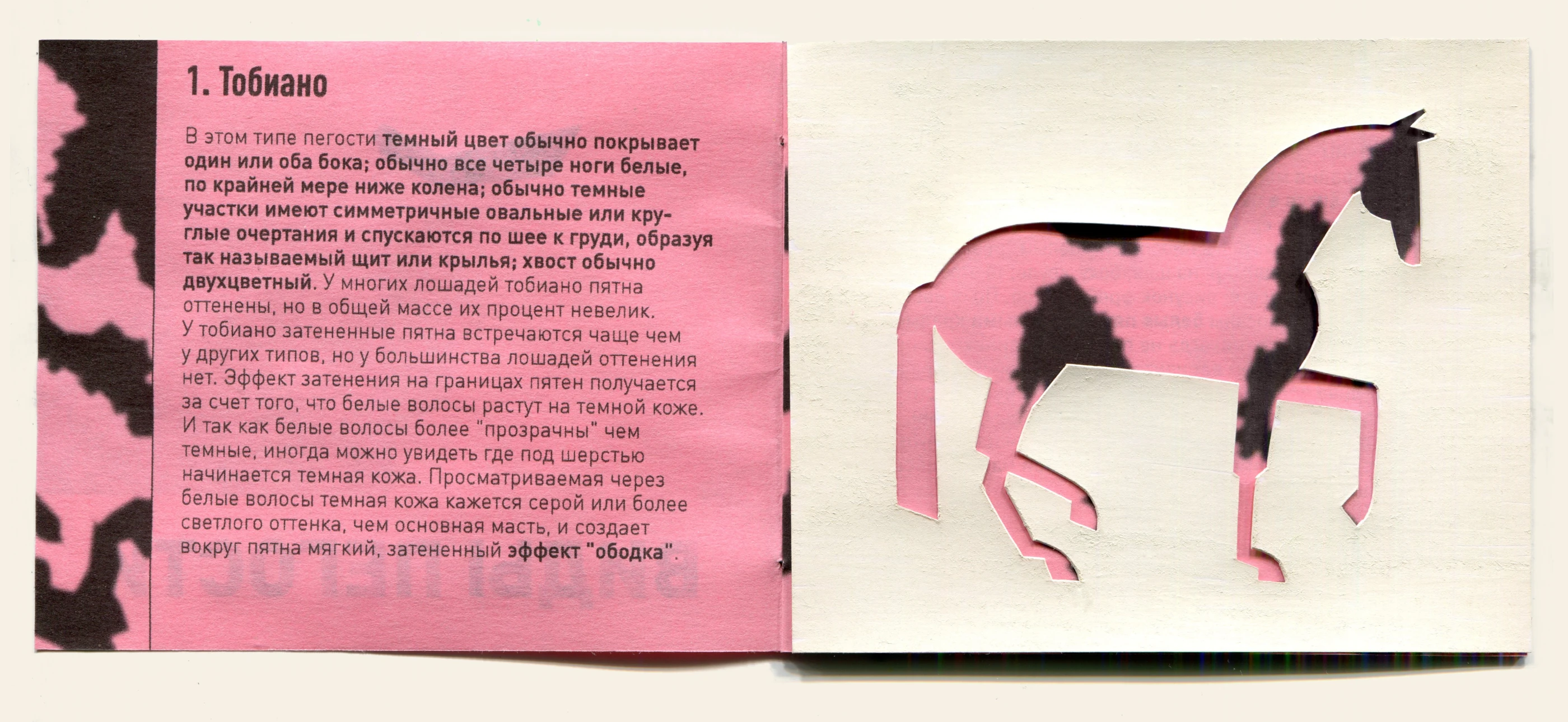 зин "ВИДЫ ПЕГОСТИ" — Изображение №4 — Иллюстрация, Графика на Dprofile