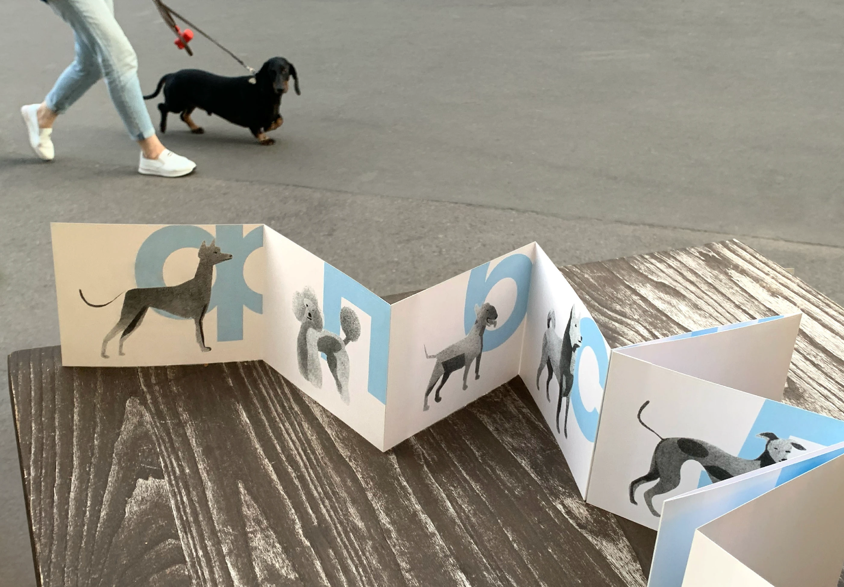 ЗИН: ПОРОДЫ СОБАК — Изображение №7 — Иллюстрация, Графика на Dprofile