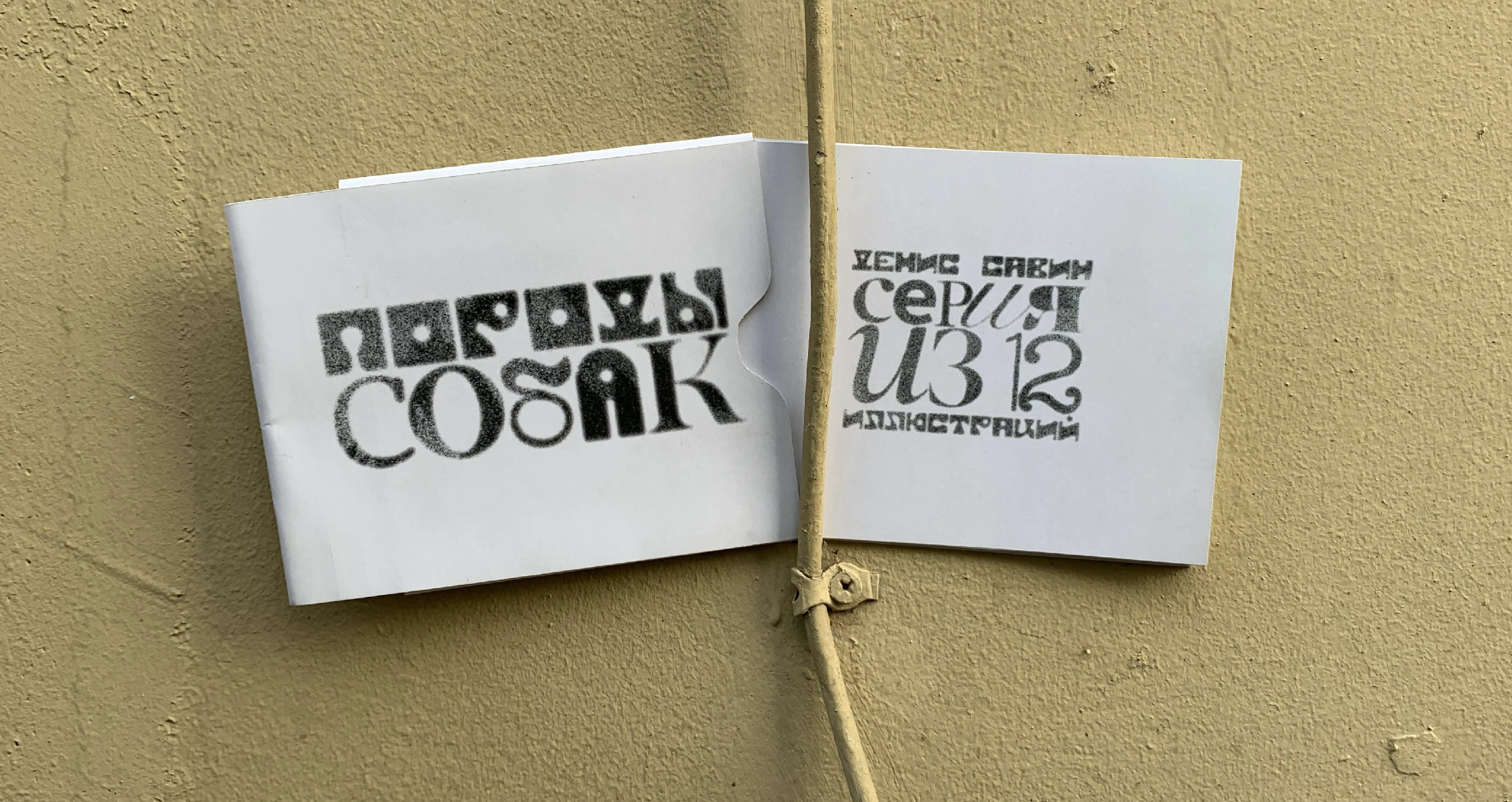 ЗИН: ПОРОДЫ СОБАК — Изображение №2 — Иллюстрация, Графика на Dprofile