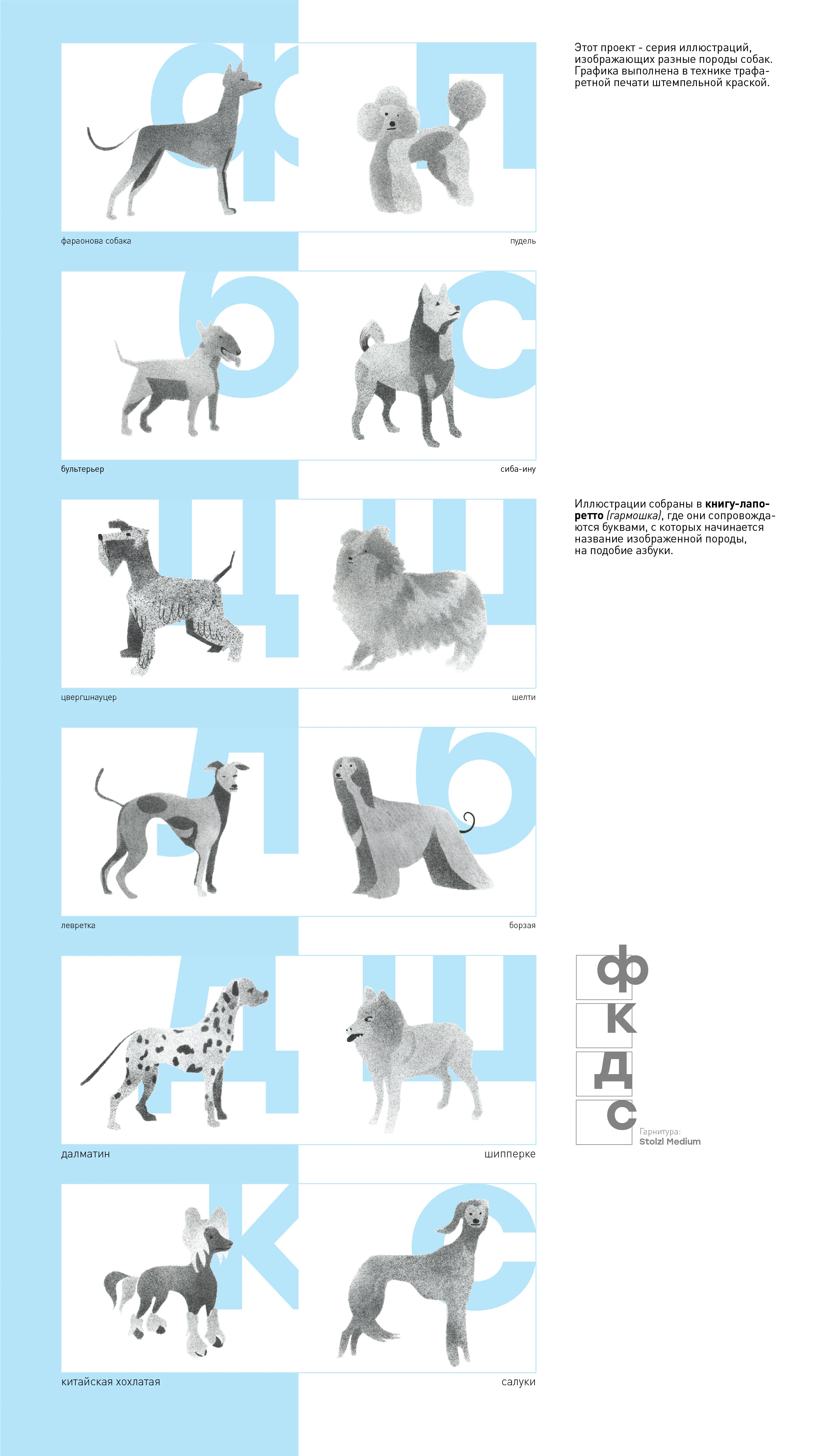 ЗИН: ПОРОДЫ СОБАК — Изображение №3 — Иллюстрация, Графика на Dprofile