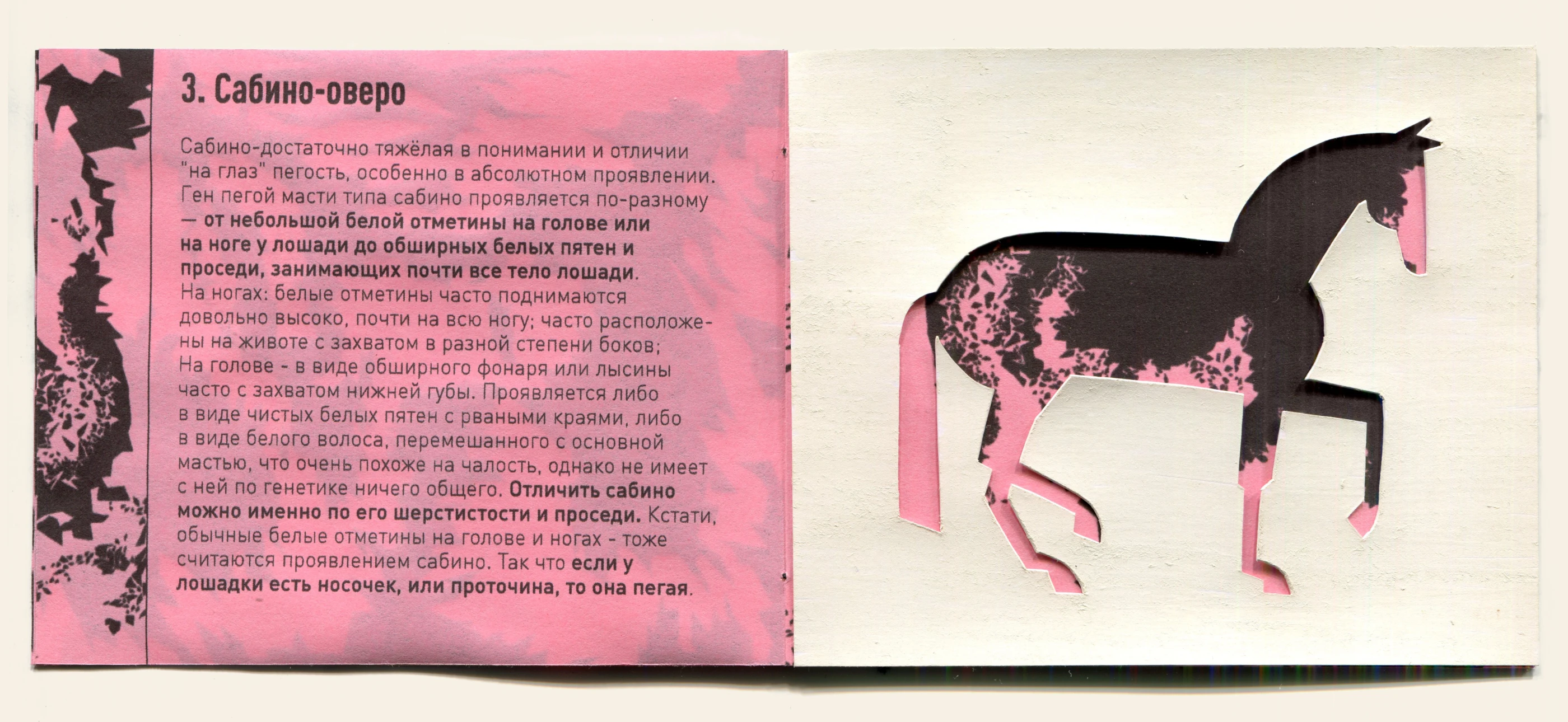 зин "ВИДЫ ПЕГОСТИ" — Изображение №6 — Иллюстрация, Графика на Dprofile