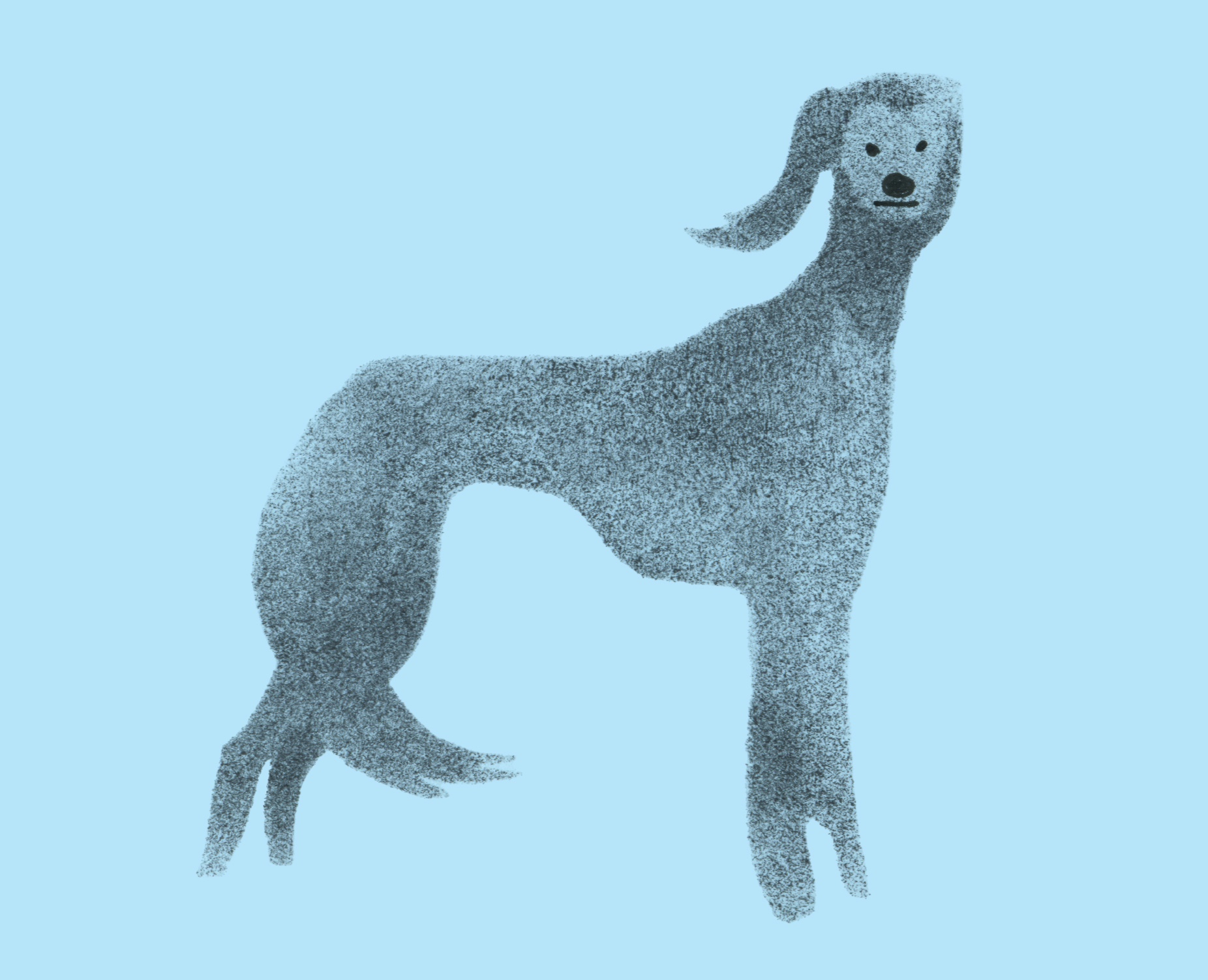 ЗИН: ПОРОДЫ СОБАК на Dprofile