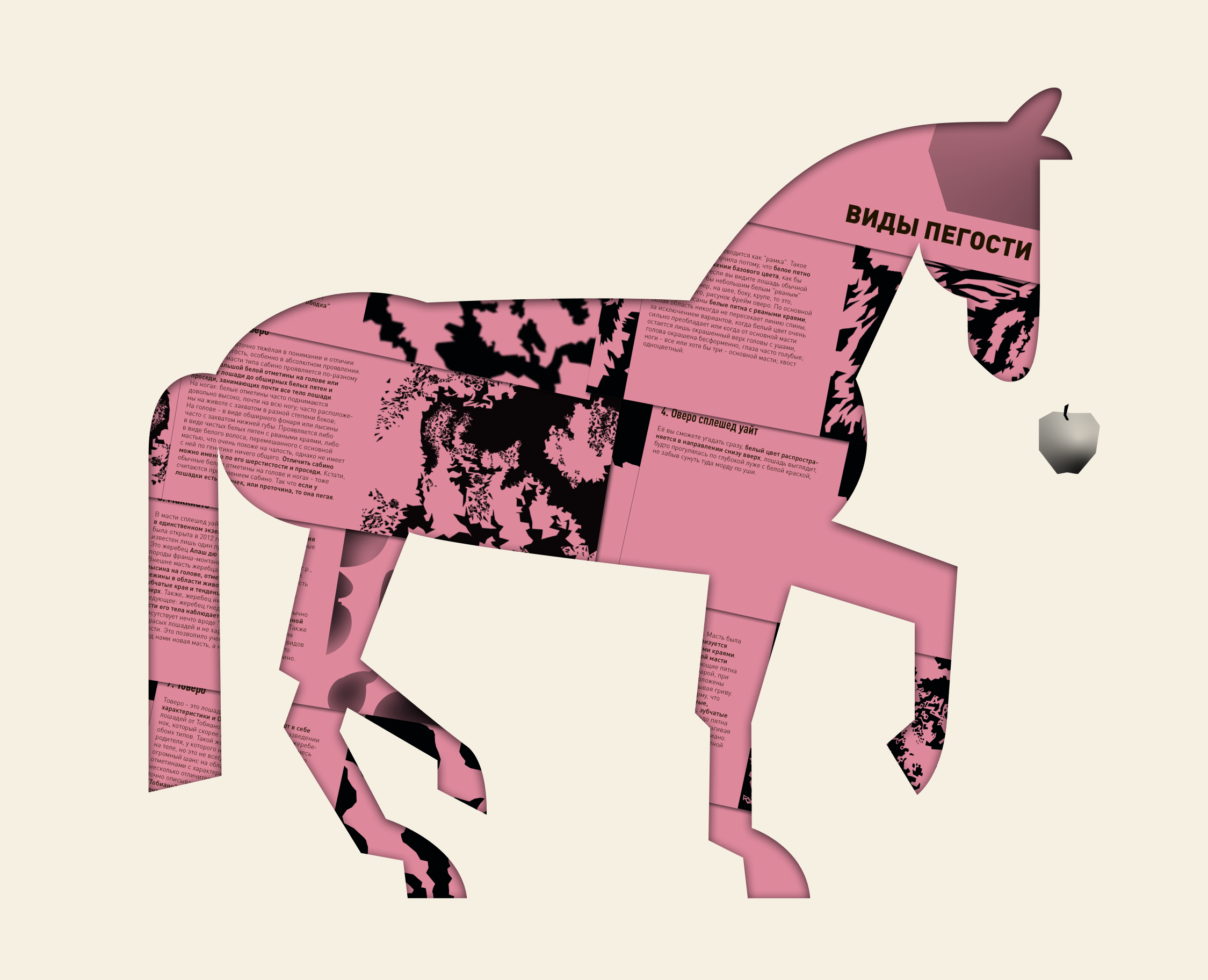 зин "ВИДЫ ПЕГОСТИ" — Иллюстрация, Графика на Dprofile