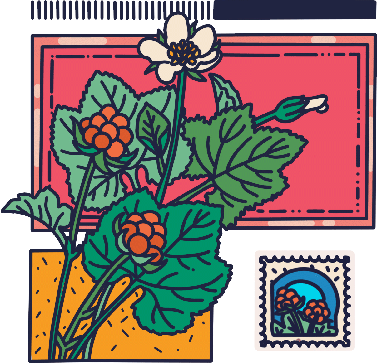 Открытки и стикерпак для северной кофейни — Изображение №10 — Брендинг, Графика на Dprofile