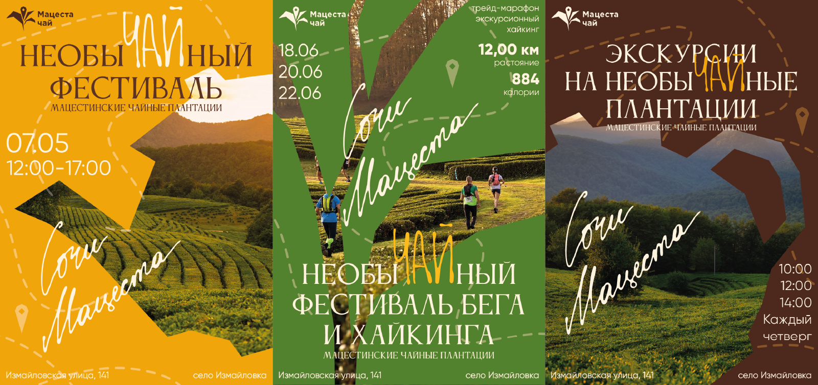 Мацеста чай — Изображение №2 — Брендинг на Dprofile