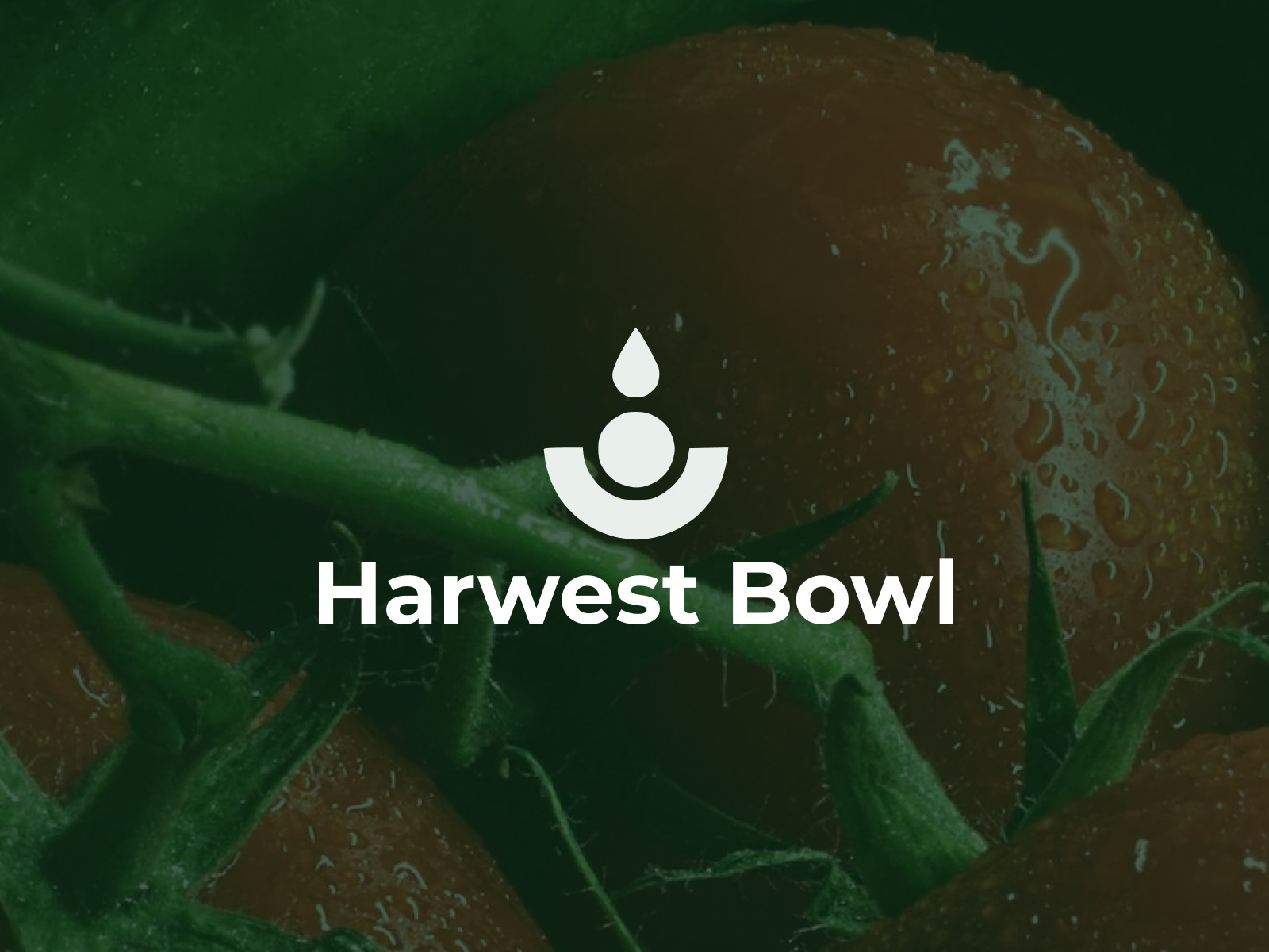 Harwest Bowl - фирменный стиль — Изображение №6 — Брендинг на Dprofile