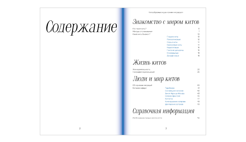 Книга-научпоп про китов — Изображение №4 — Графика на Dprofile