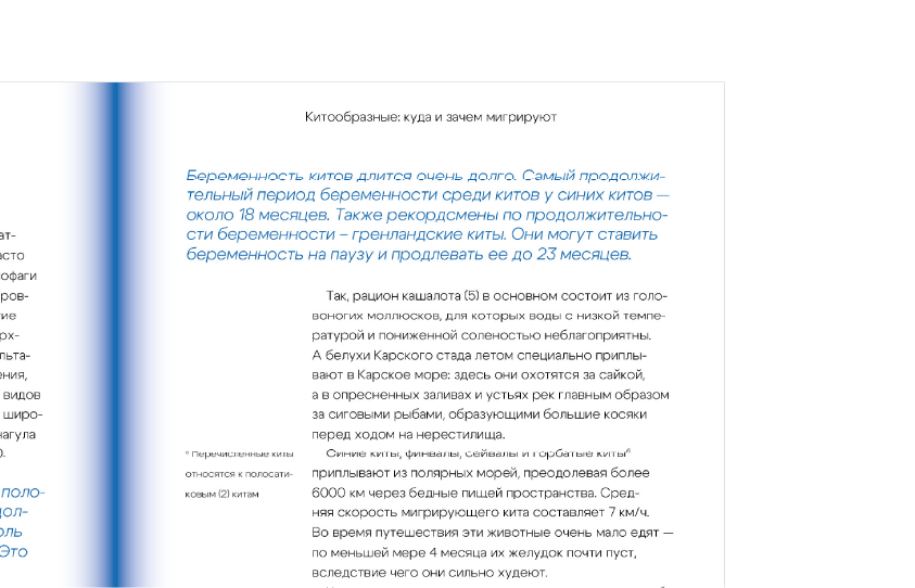 Книга-научпоп про китов — Изображение №7 — Графика на Dprofile