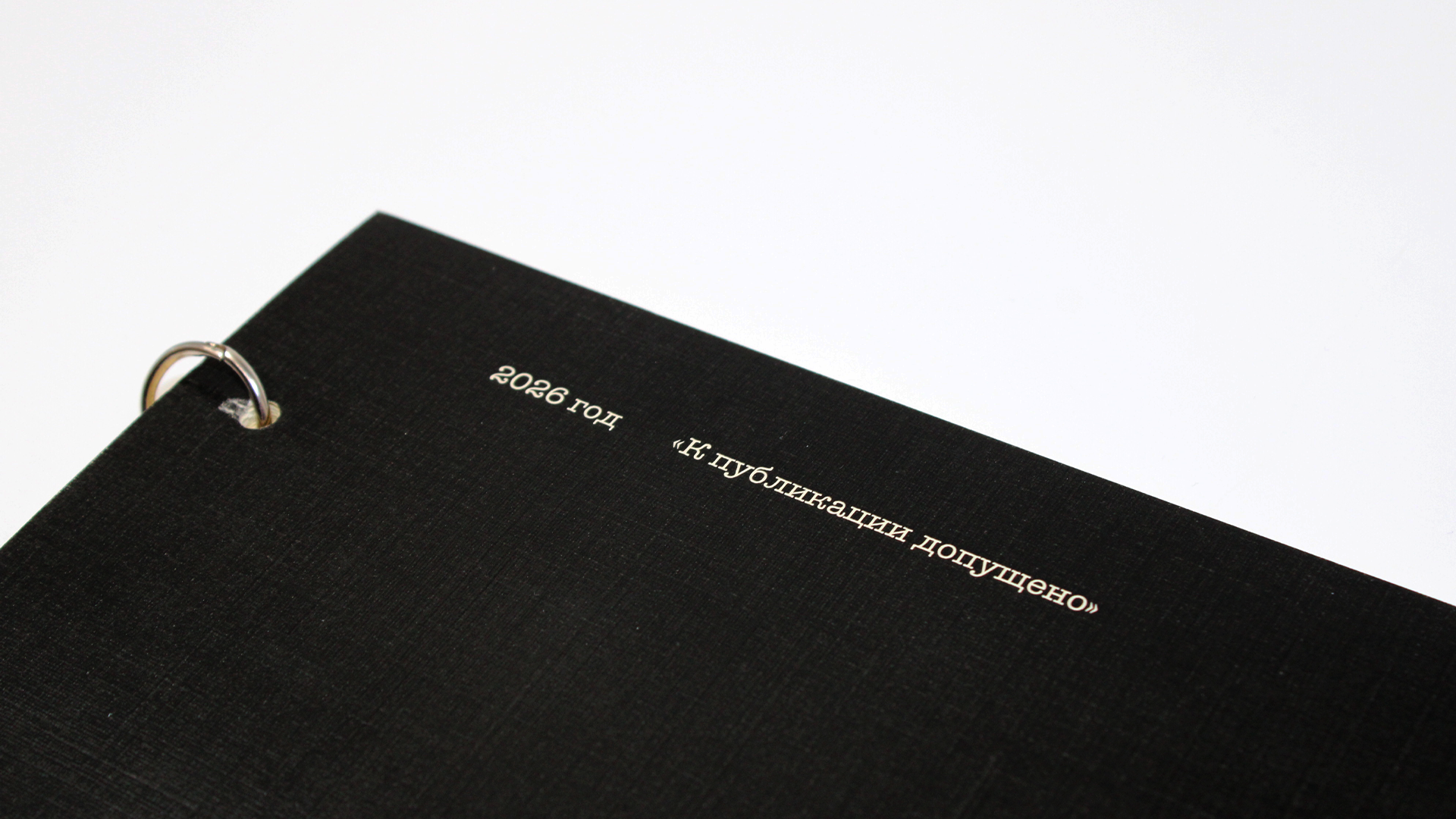 «К публикации допущен». 2026 — Изображение №2 — Графика на Dprofile