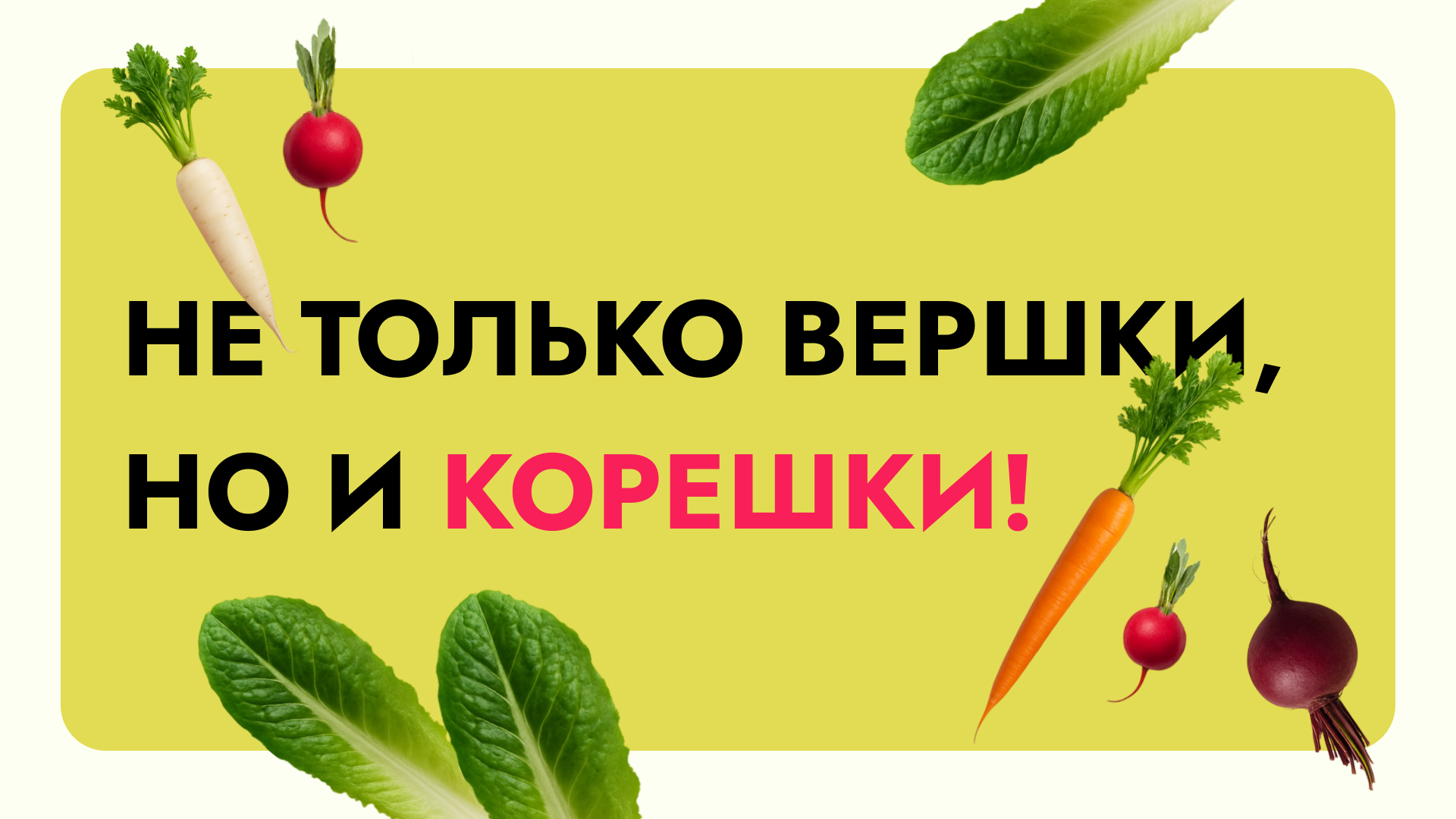 Айдентика для овощного рынка «Ботва» — Изображение №2 — Брендинг, Графика на Dprofile