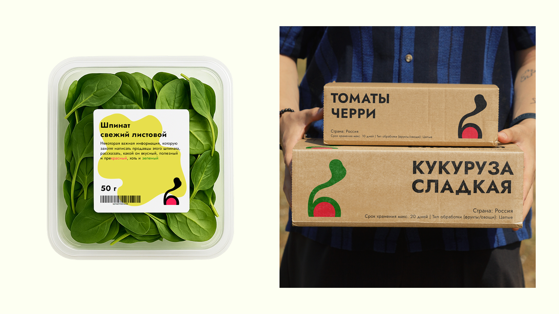 Айдентика для овощного рынка «Ботва» — Изображение №3 — Брендинг, Графика на Dprofile