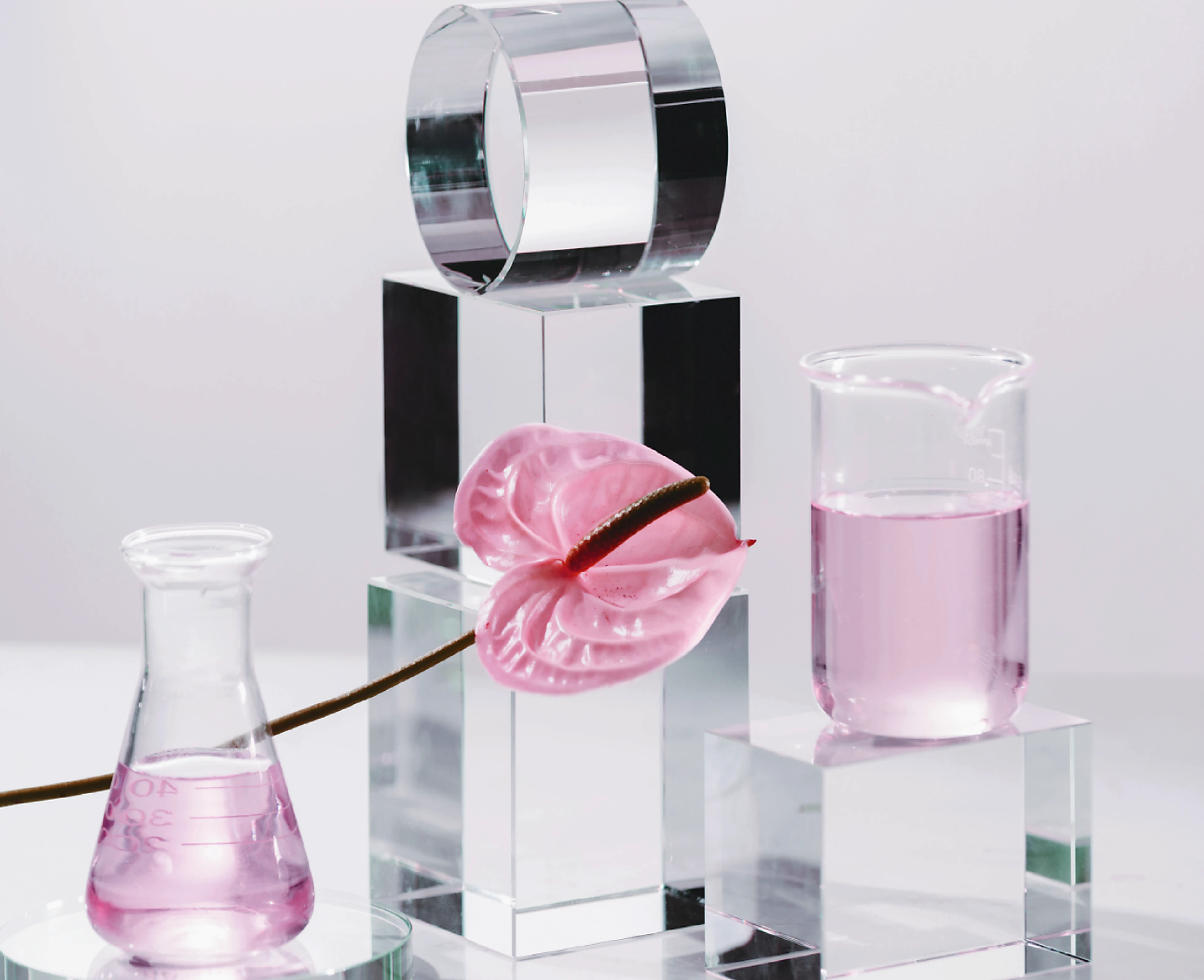 Разработка фирменного стиля и упаковки — Изображение №3 — Брендинг на Dprofile