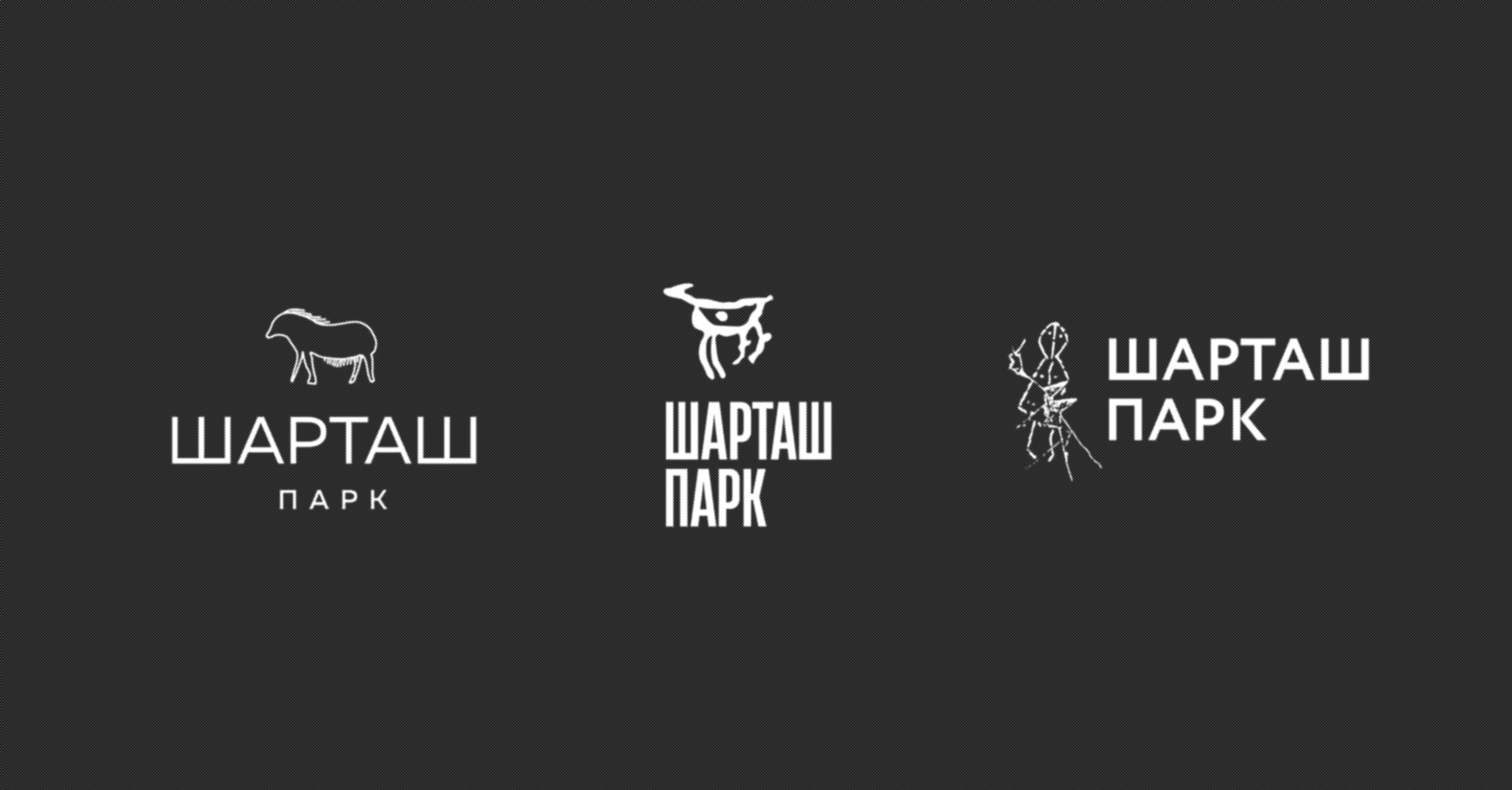 Брендинг и упаковка жилого квартала Шарташ Парк — Изображение №6 — Брендинг на Dprofile