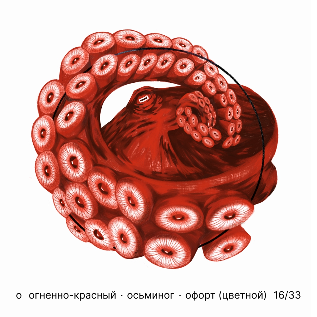 БКВЧ '25 / 33 буквы / цвет · образ · стиль — Изображение №17 — Иллюстрация, Графика на Dprofile