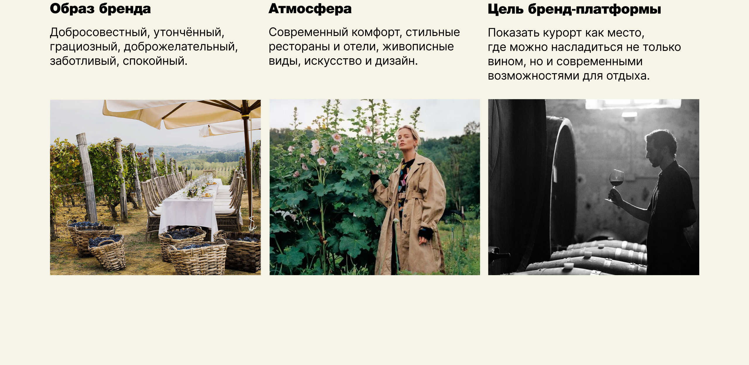 Ребрендинг курорта Абрау-Дюрсо — Изображение №3 — Брендинг на Dprofile