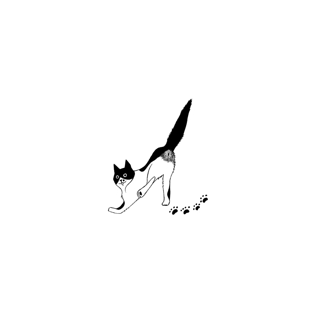 Котобуквы — Изображение №12 — Иллюстрация, Графика на Dprofile
