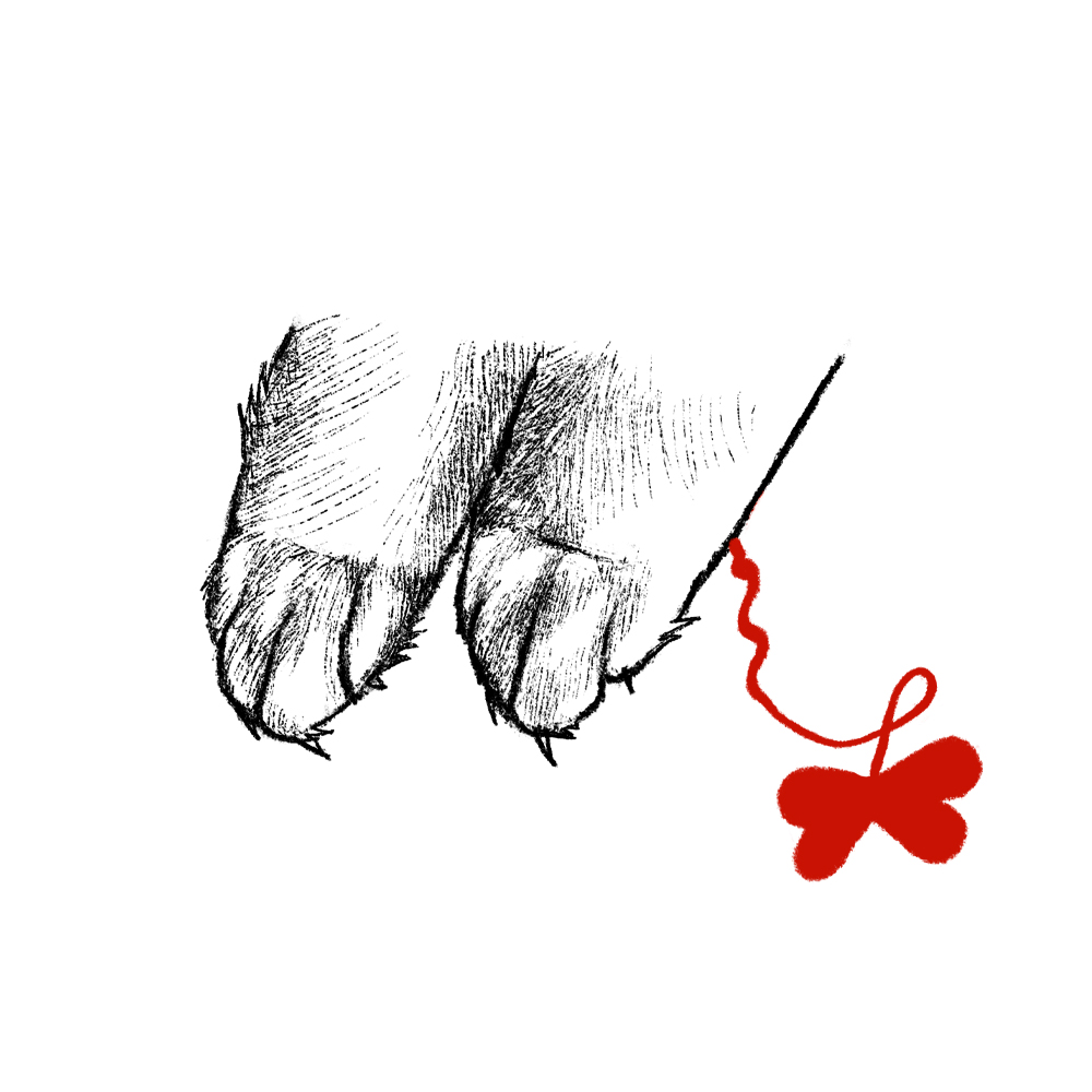Котобуквы — Изображение №24 — Иллюстрация, Графика на Dprofile