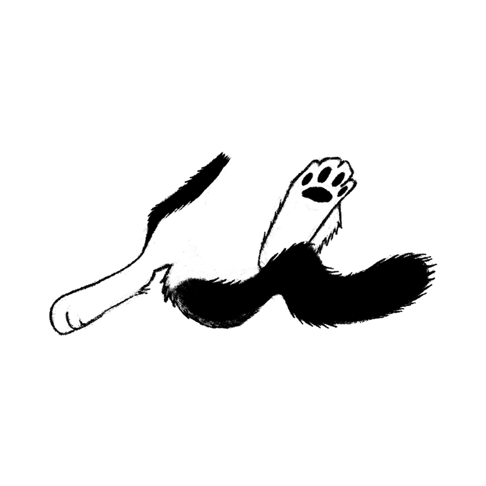 Котобуквы — Изображение №13 — Иллюстрация, Графика на Dprofile