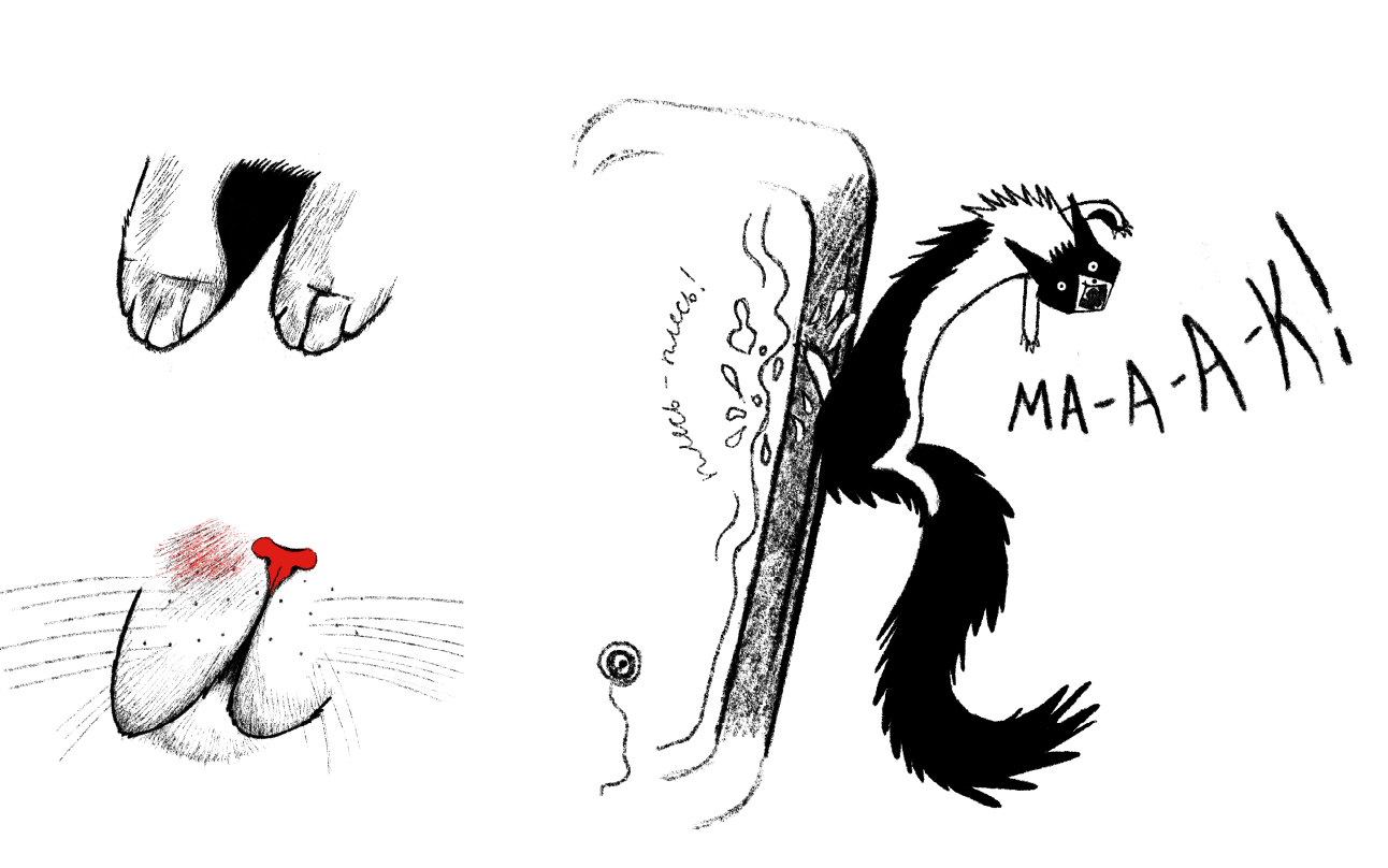 Котобуквы — Изображение №11 — Иллюстрация, Графика на Dprofile