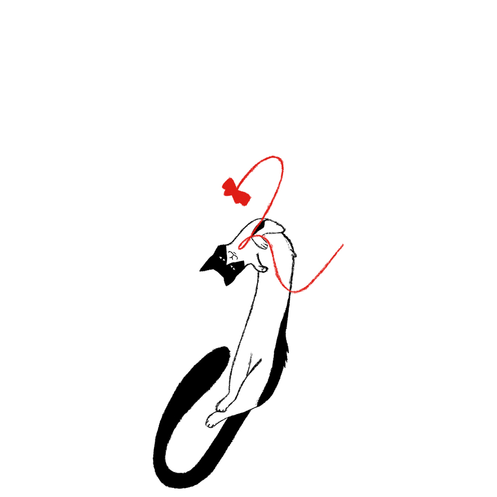 Котобуквы — Изображение №10 — Иллюстрация, Графика на Dprofile