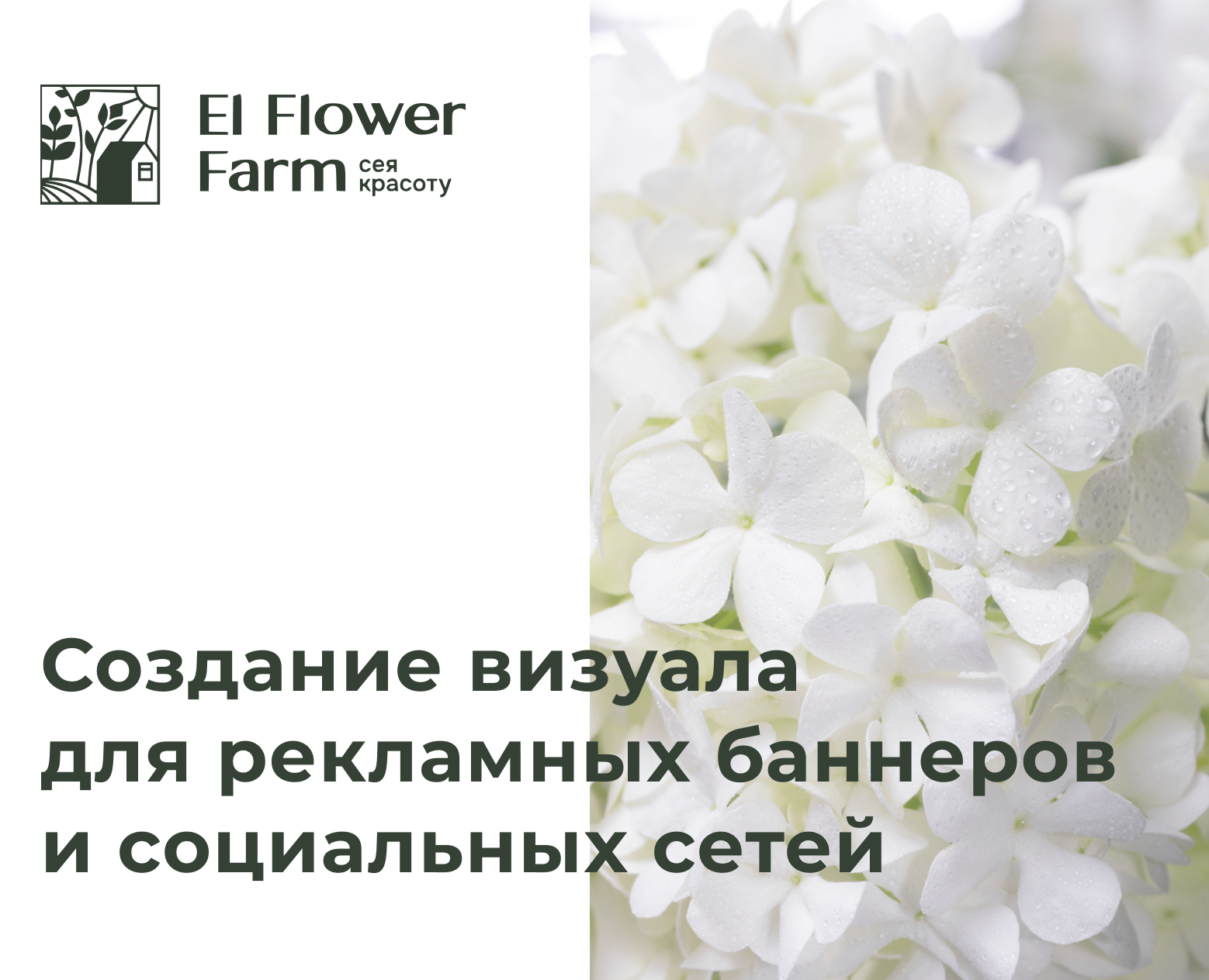 Баннеры для El Flower Farm на Dprofile