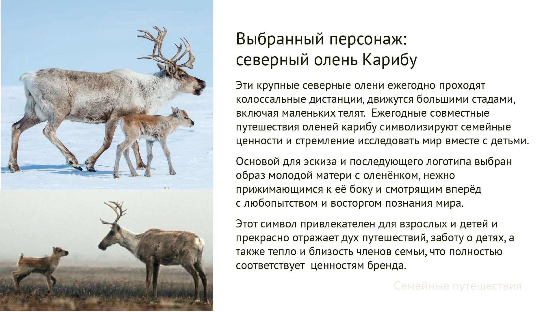 Агенство путешествий | Family travel agency. Visual identity — Изображение №3 — Брендинг, Иллюстрация на Dprofile