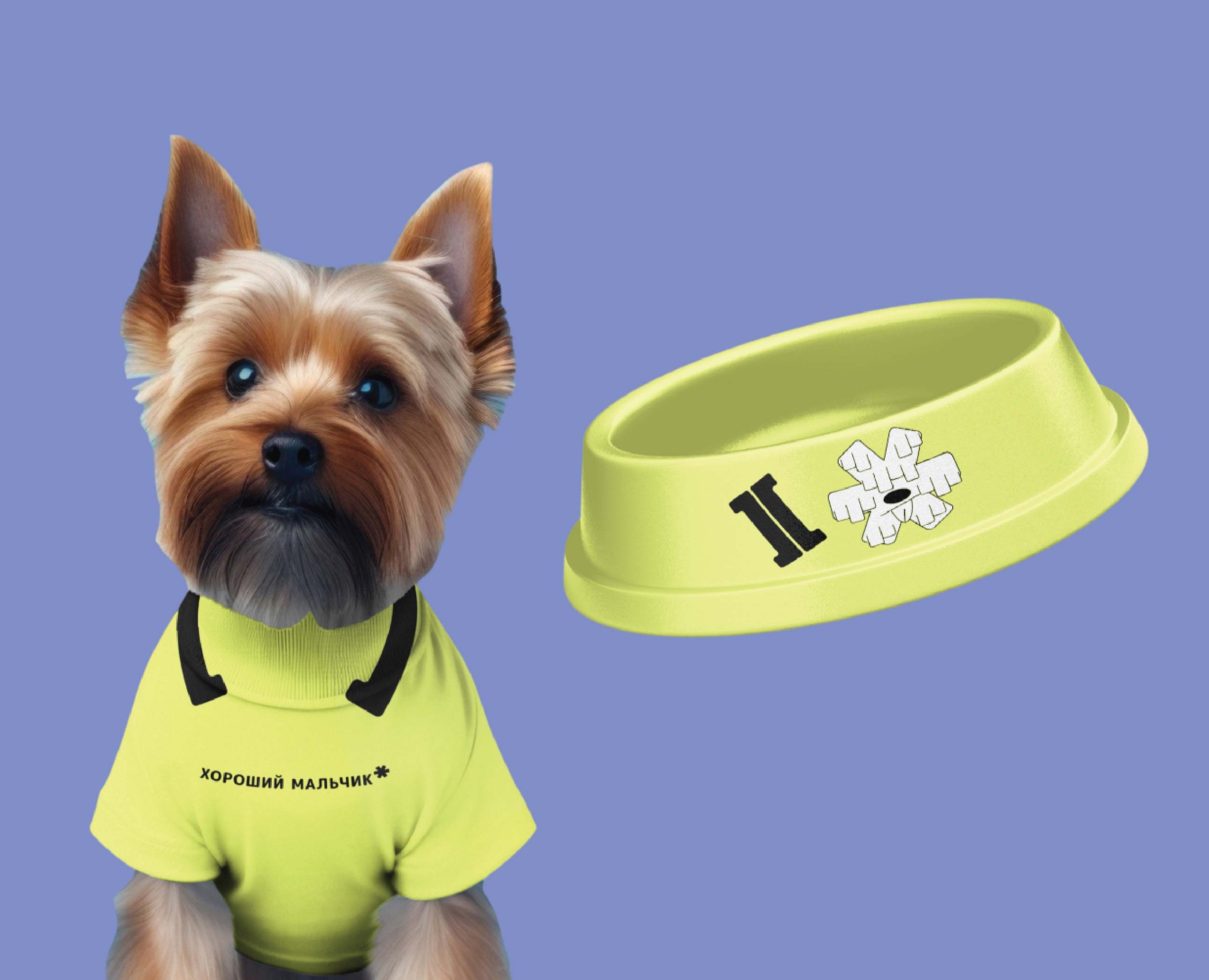 Pawsitive Брендинг кинологического центра на Dprofile