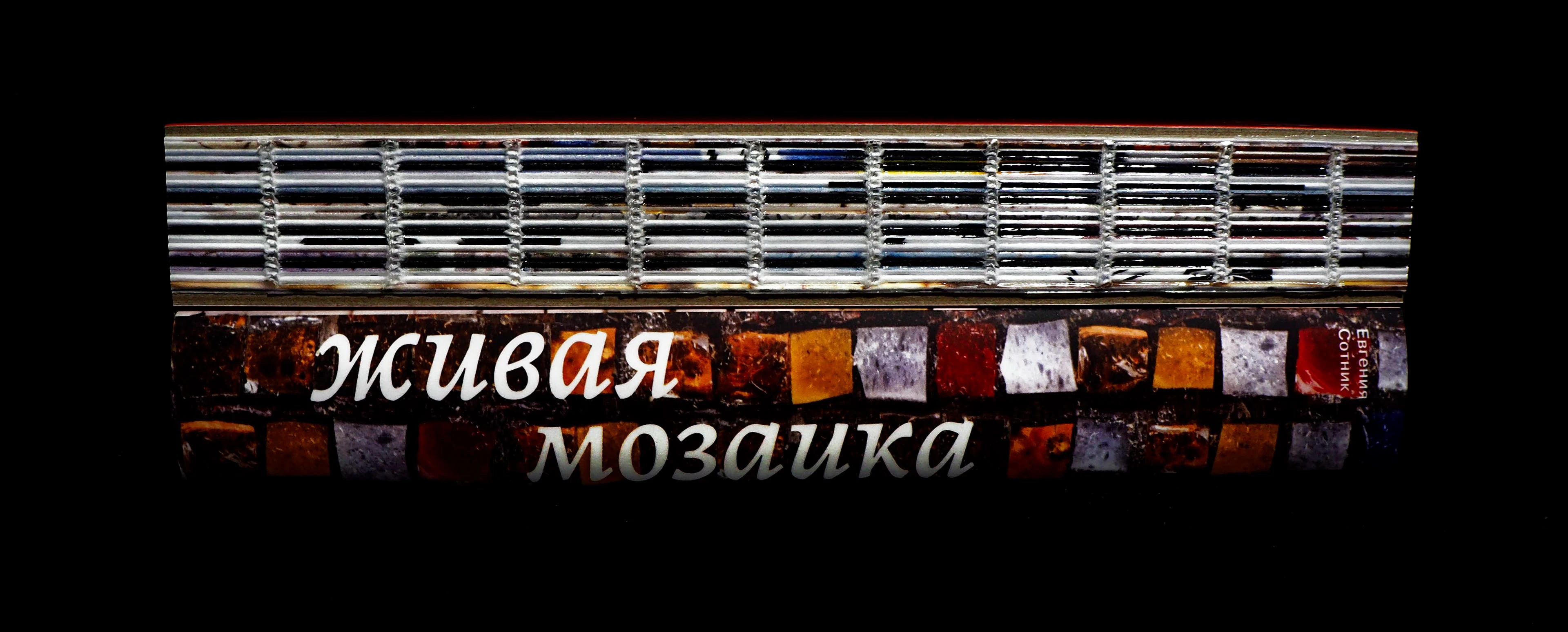 Живая мозаика | авторская книга — Изображение №2 — Иллюстрация, Графика на Dprofile