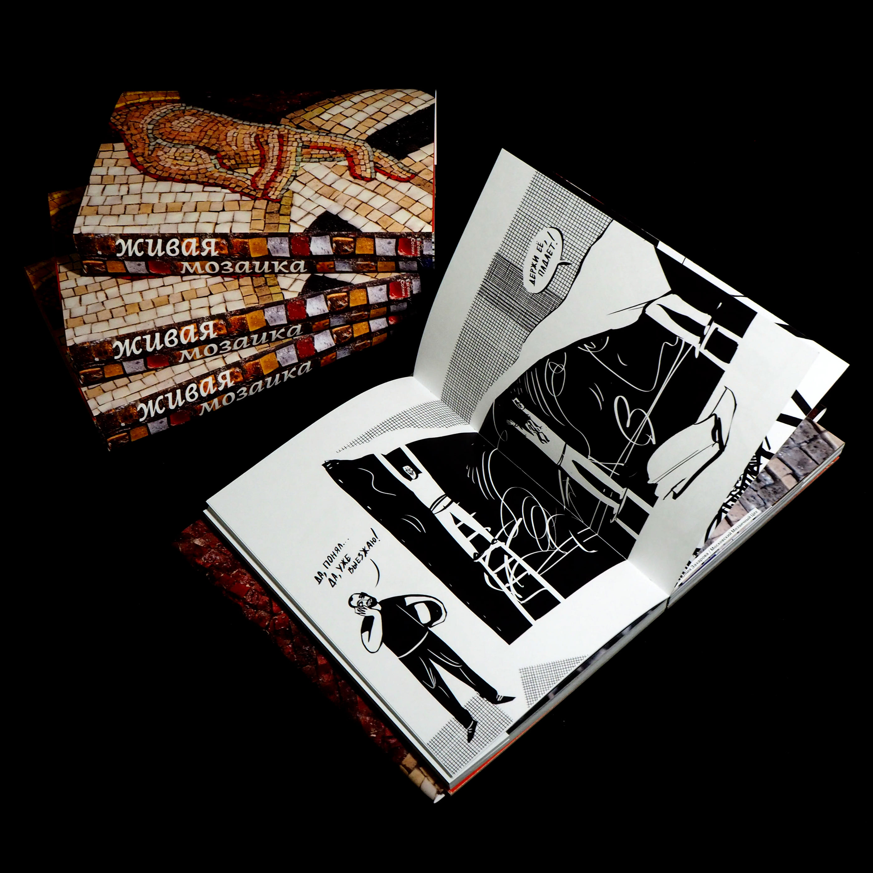 Живая мозаика | авторская книга — Изображение №9 — Иллюстрация, Графика на Dprofile