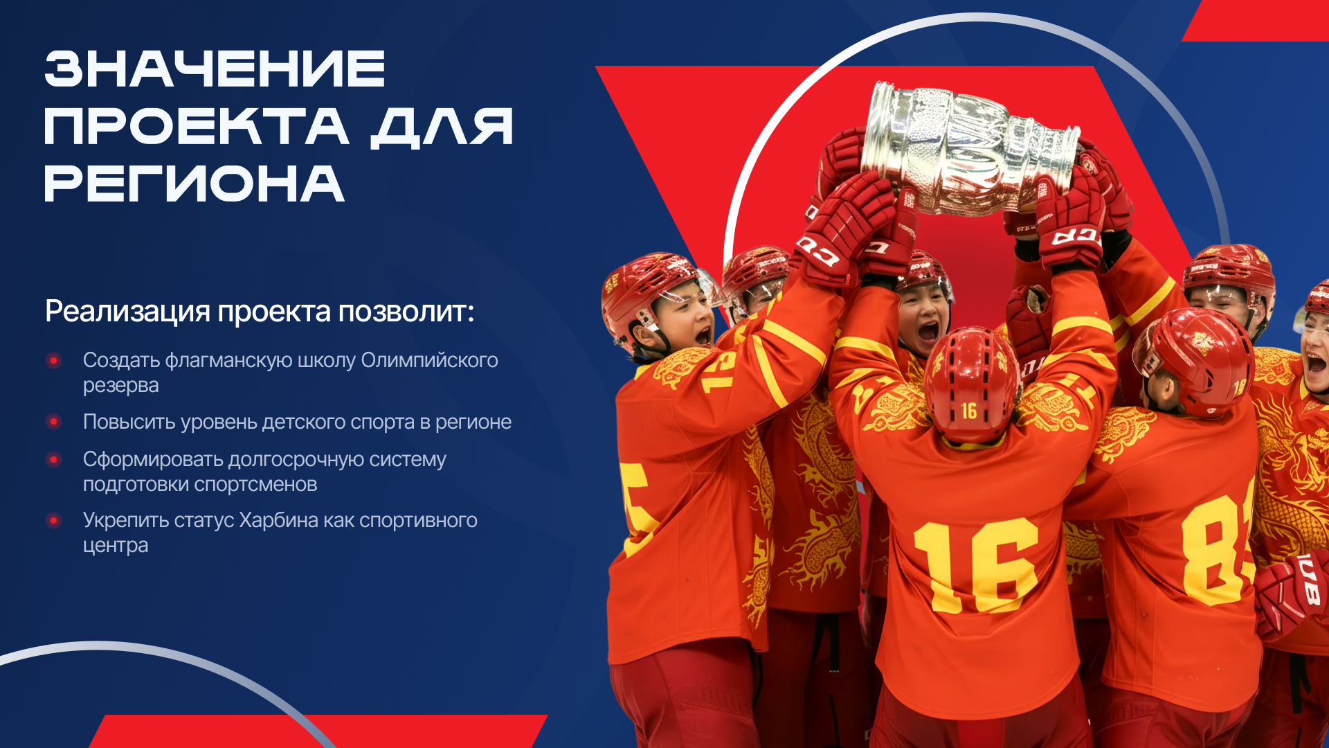 ДШОР — Изображение №11 — Графика, Маркетинг на Dprofile