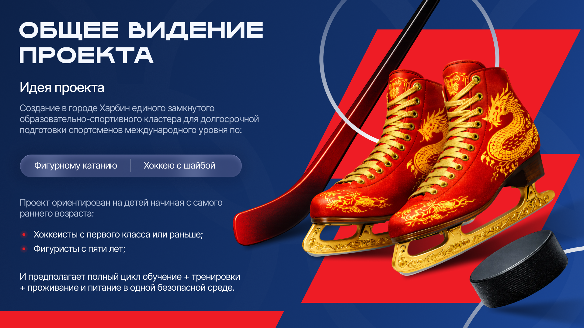 ДШОР — Изображение №2 — Графика, Маркетинг на Dprofile