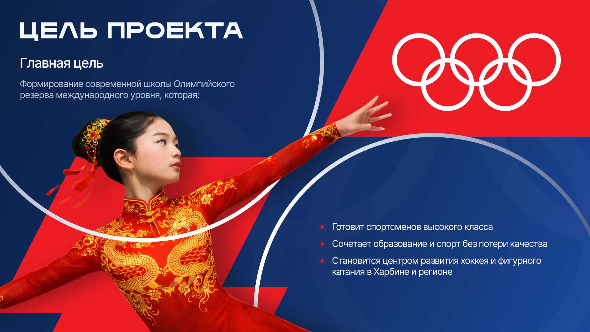 ДШОР — Изображение №3 — Графика, Маркетинг на Dprofile