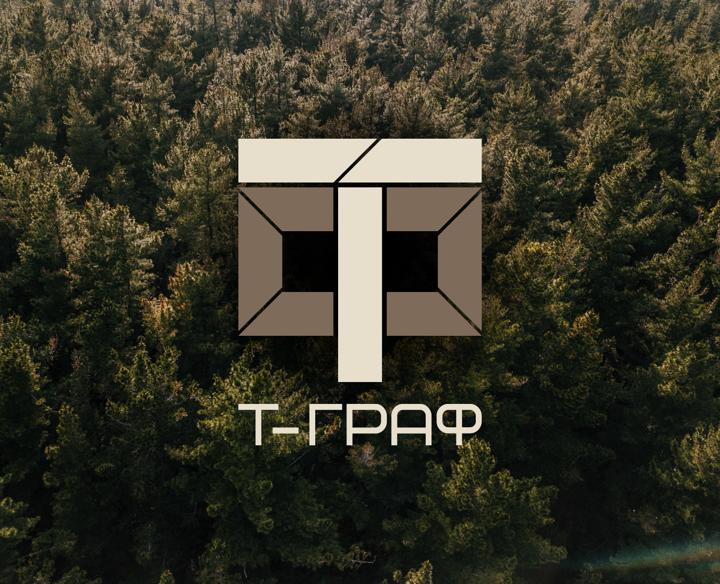 Т-ГРАФ logo design на Dprofile