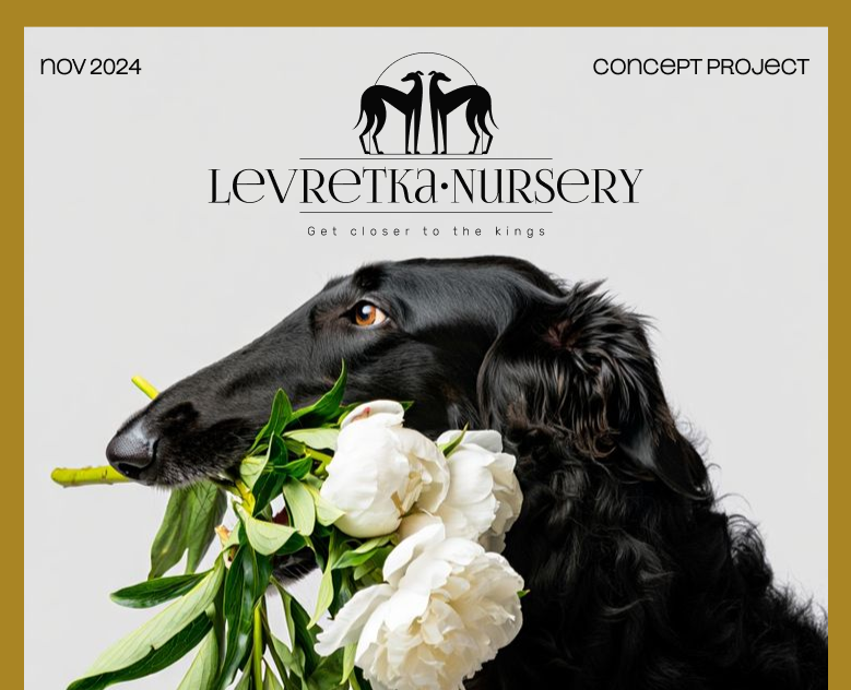 Levretka•Nursery | Concept logo project на Dprofile