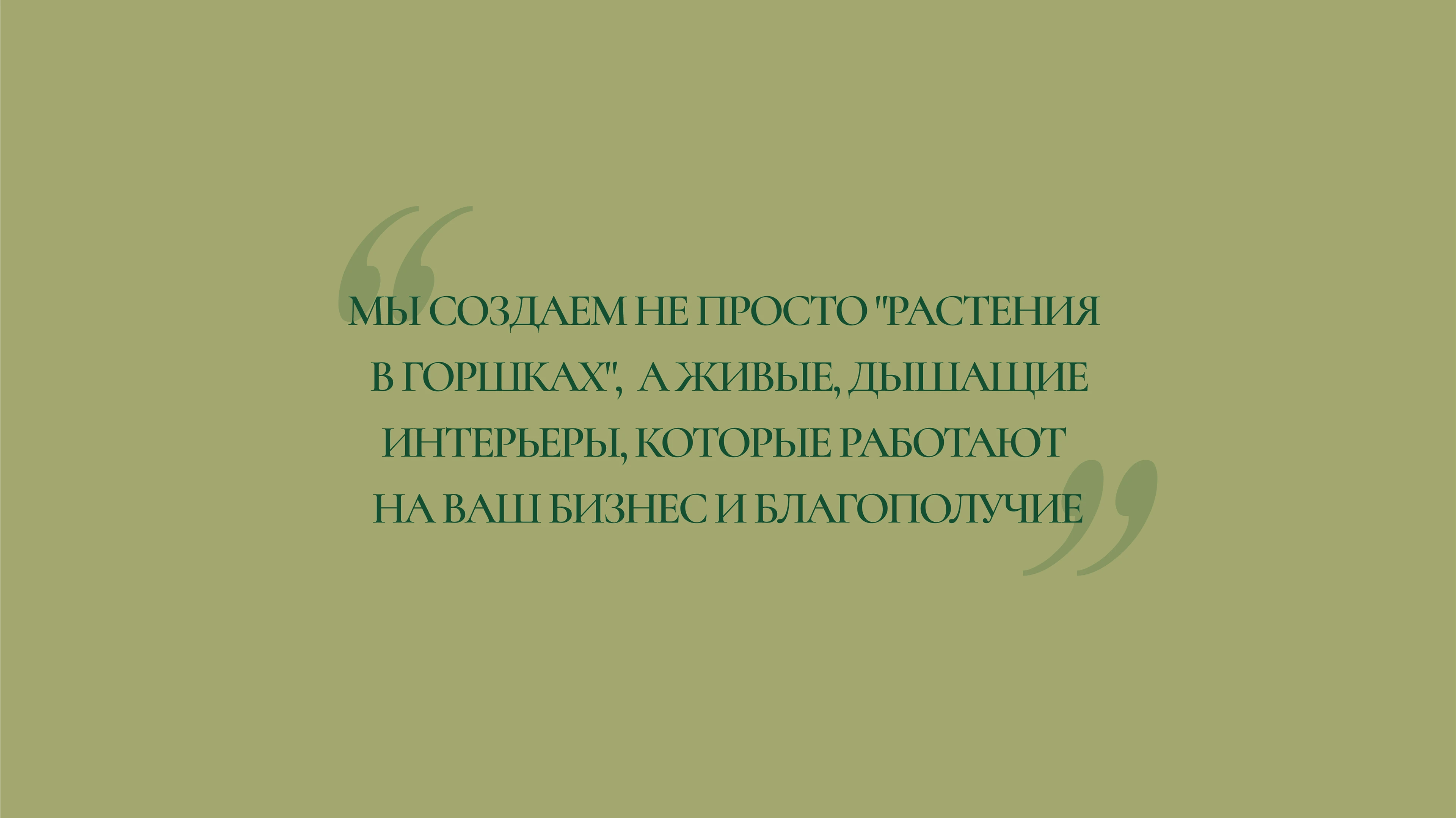 Фирменный стиль для коммерческого озеленителя — Изображение №5 — Брендинг на Dprofile