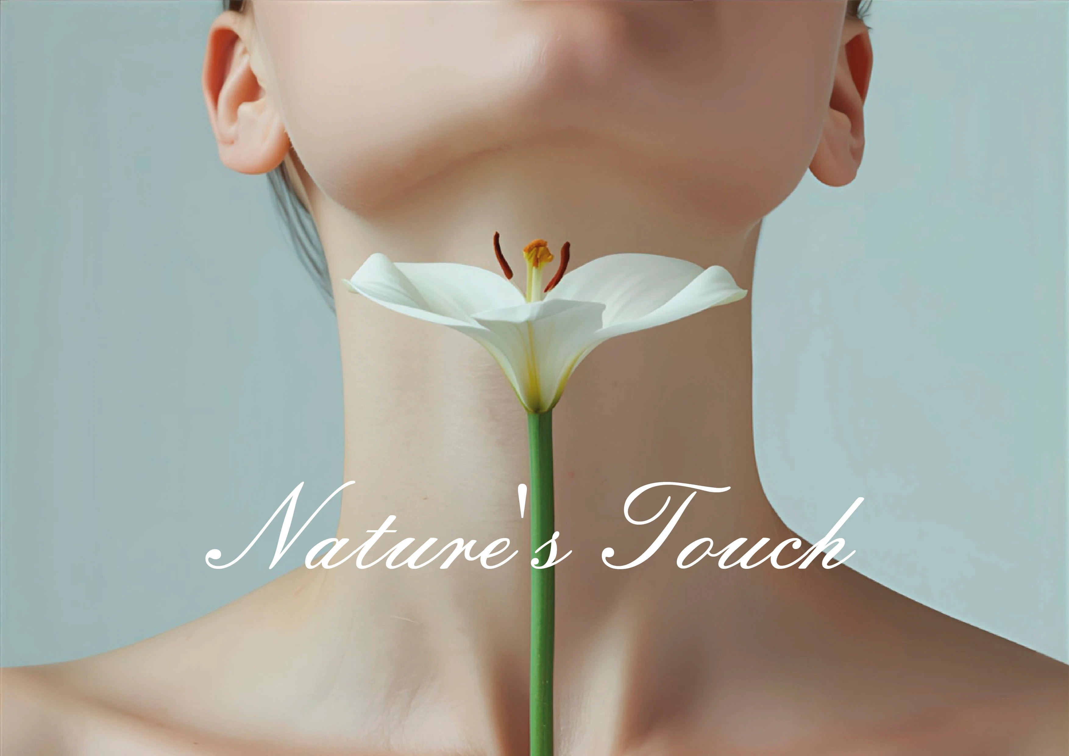 Фирменный стиль для цветочного магазина — Изображение №1 — Брендинг, Графика на Dprofile