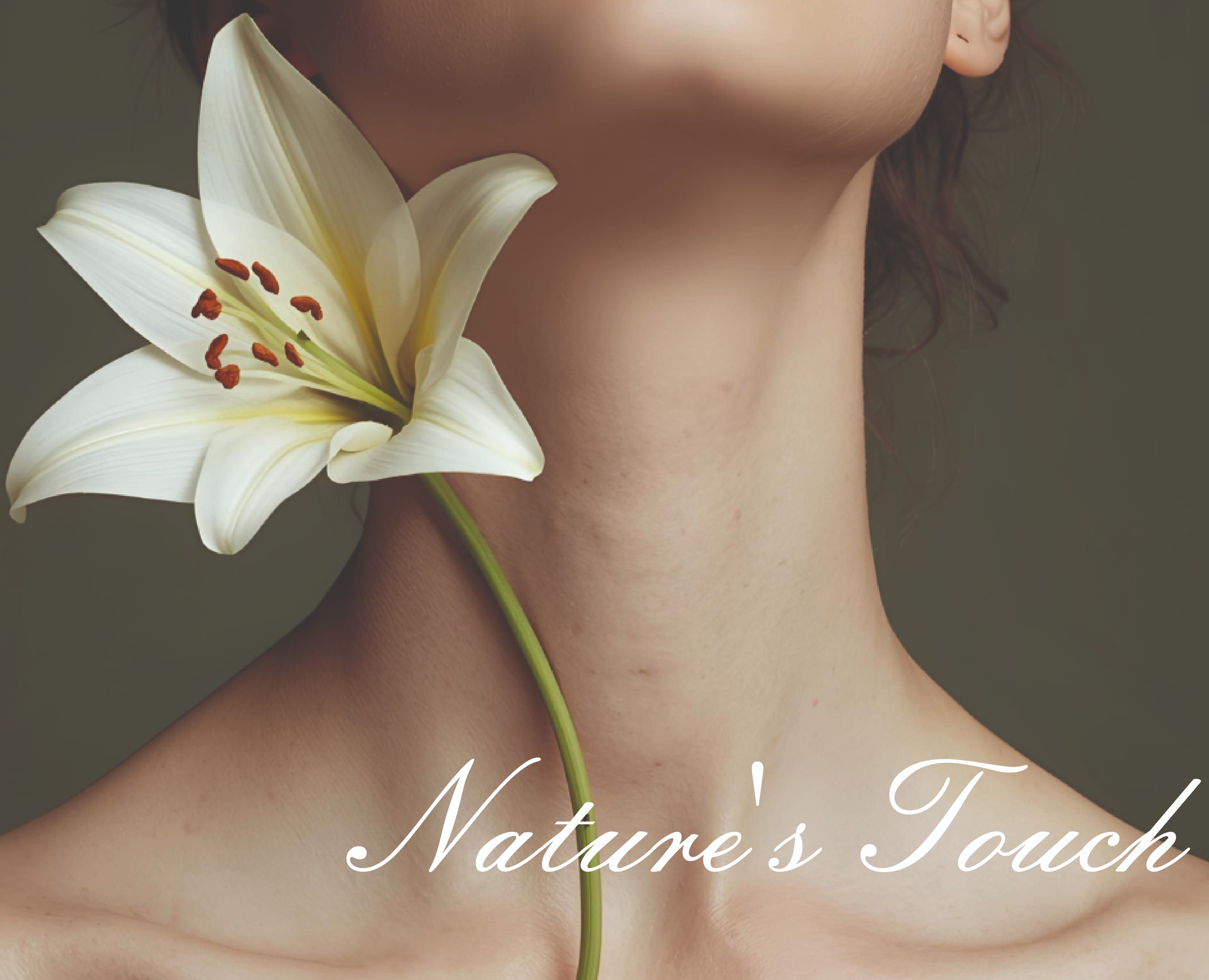 Фирменный стиль для цветочного магазина — Брендинг, Графика на Dprofile