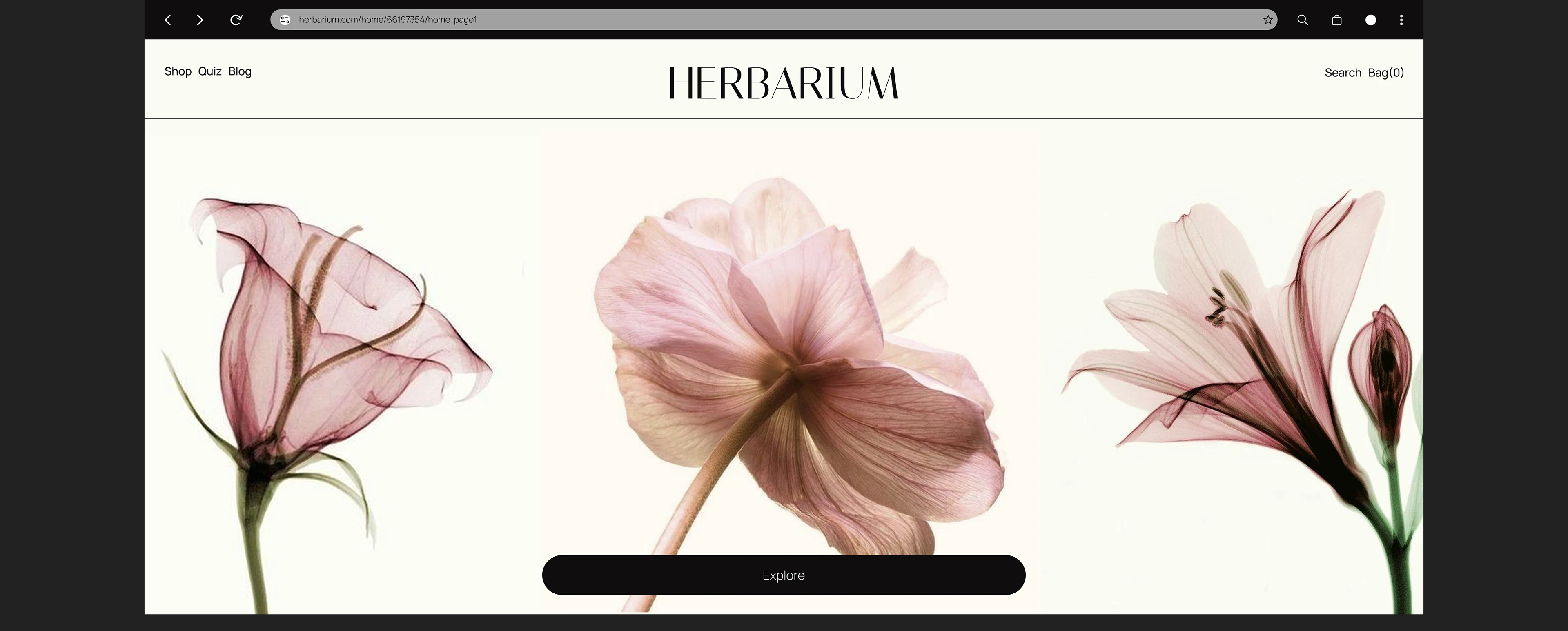 UX/UI DESIGN/HERBARIUM — Изображение №1 — Интерфейсы, Брендинг на Dprofile