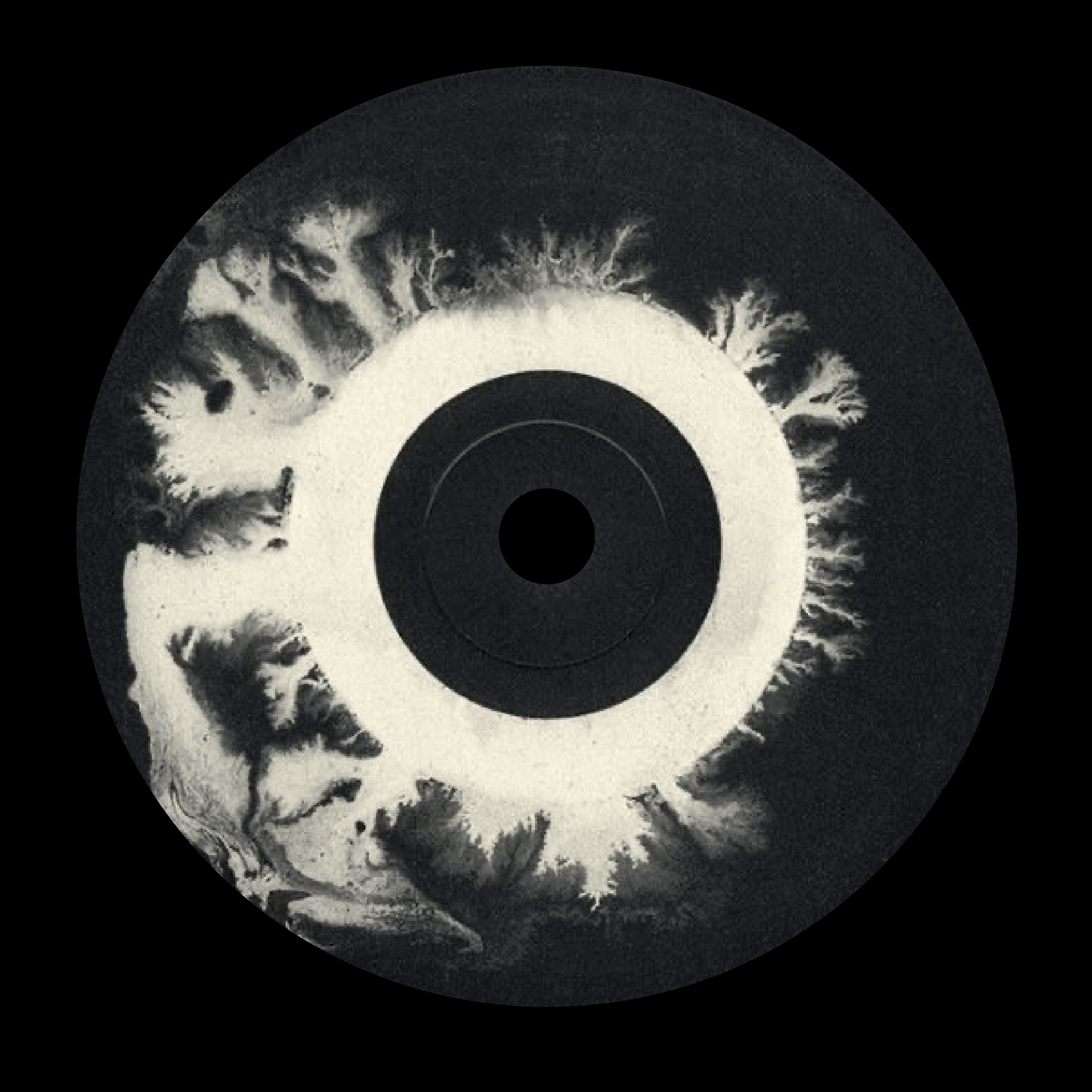 PACKAGING/ECHONE — Изображение №8 — Брендинг на Dprofile