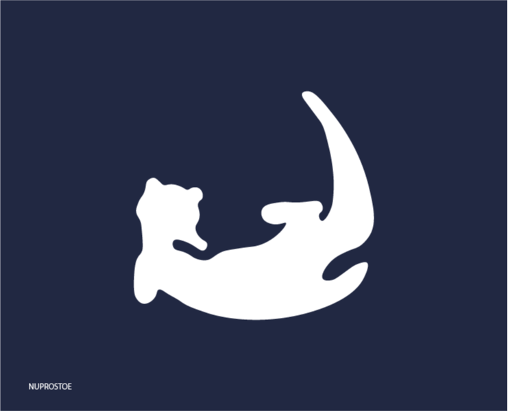 Payful Otters — Брендинг на Dprofile