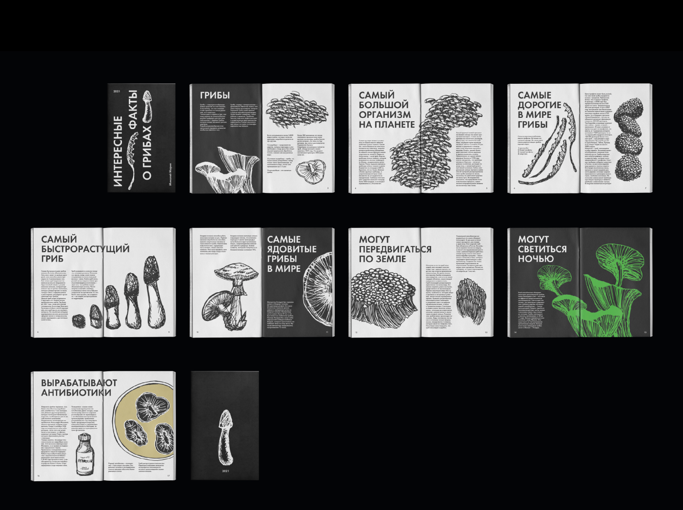 Зин «Грибы»/ Zine «Mushrooms» — Изображение №2 — Иллюстрация, Графика на Dprofile