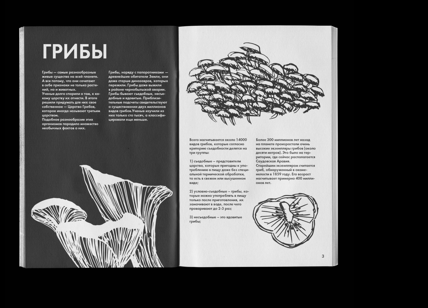 Зин «Грибы»/ Zine «Mushrooms» — Изображение №3 — Иллюстрация, Графика на Dprofile