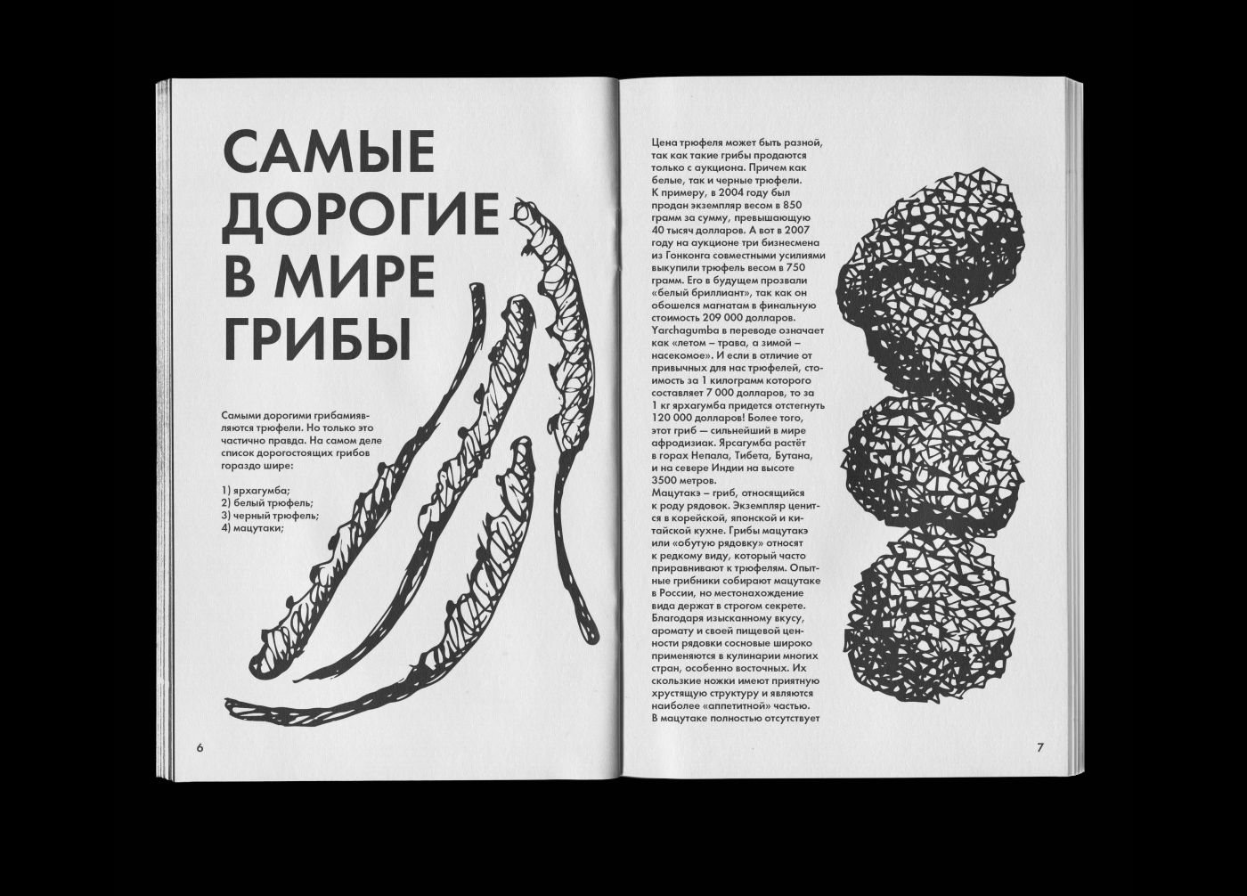 Зин «Грибы»/ Zine «Mushrooms» — Изображение №5 — Иллюстрация, Графика на Dprofile