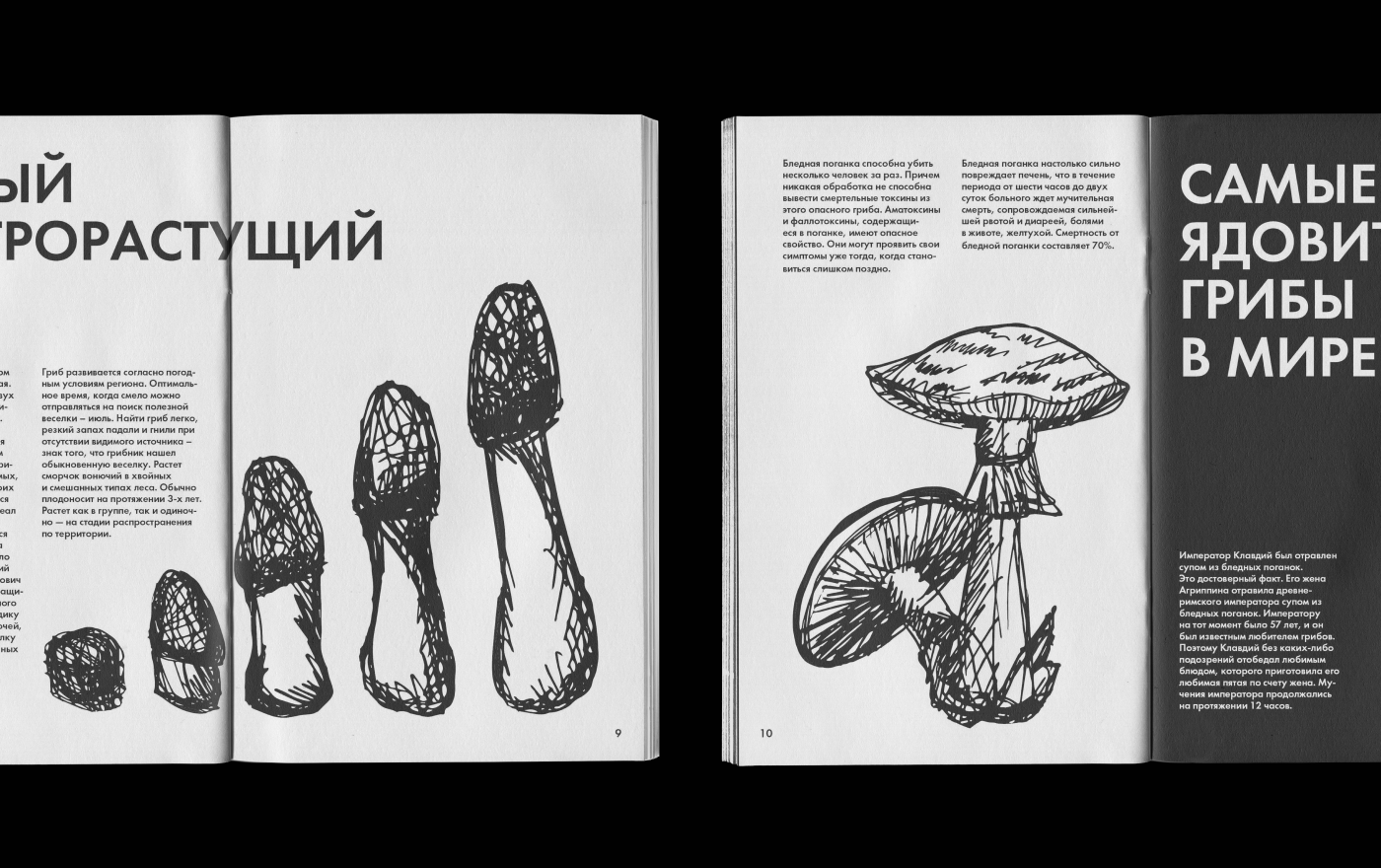 Зин «Грибы»/ Zine «Mushrooms» — Изображение №6 — Иллюстрация, Графика на Dprofile