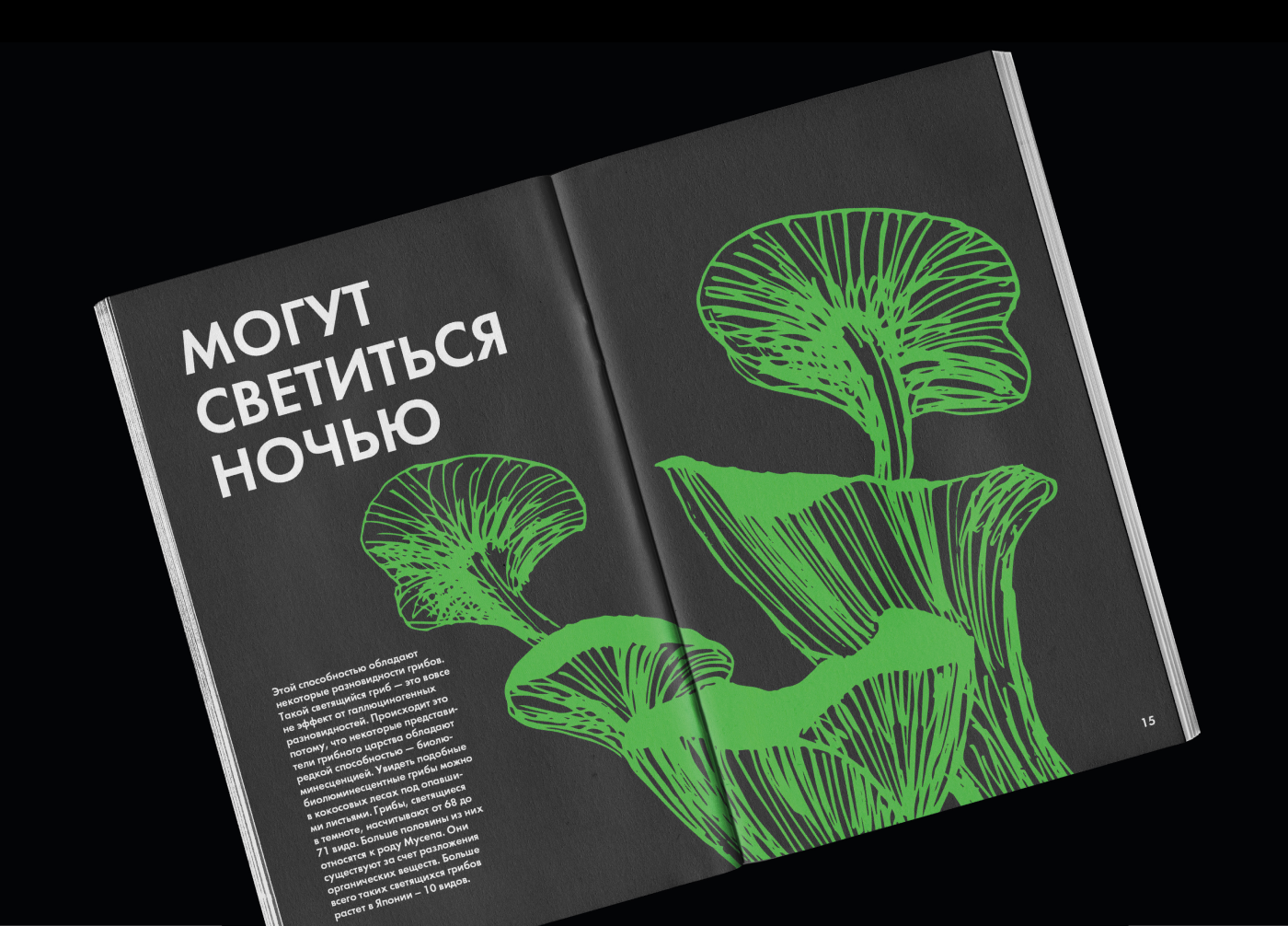 Зин «Грибы»/ Zine «Mushrooms» — Изображение №8 — Иллюстрация, Графика на Dprofile