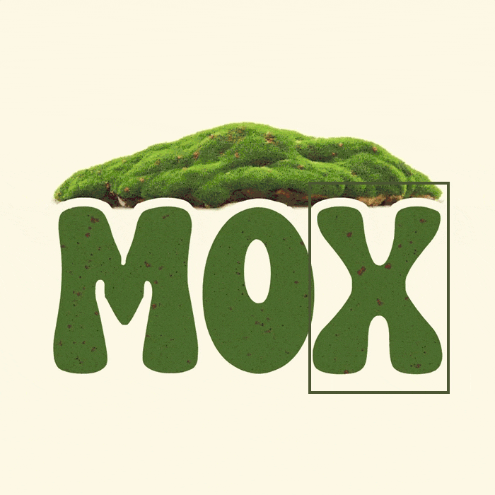 Кофейня «МОХ»/ MOSH COFFEE — Изображение №5 — Брендинг, Графика на Dprofile
