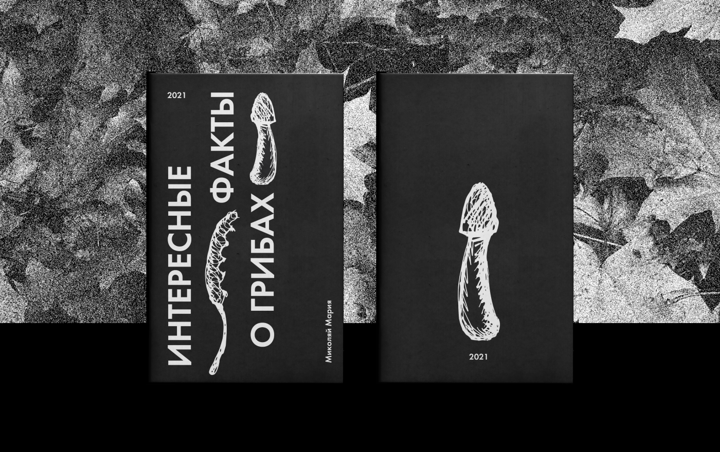 Зин «Грибы»/ Zine «Mushrooms» — Изображение №1 — Иллюстрация, Графика на Dprofile